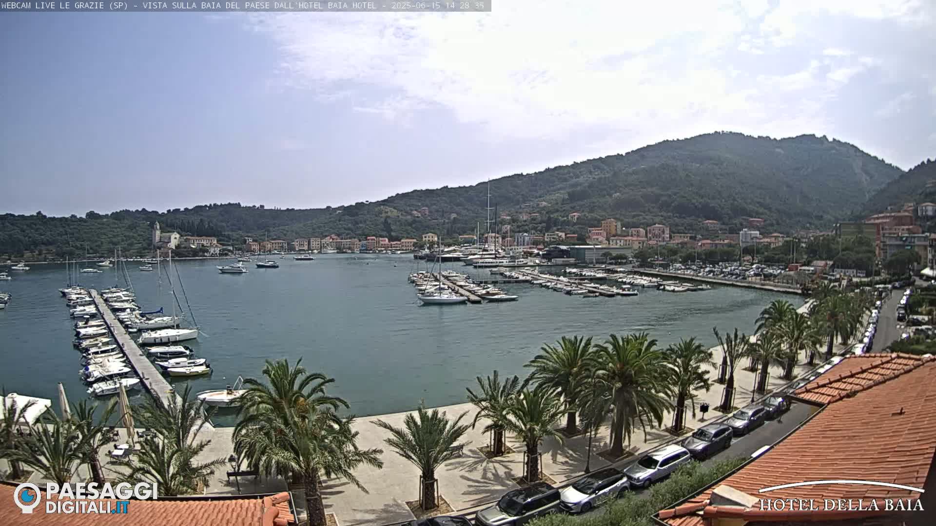 A harbor filled with sailboats is seen from an elevated vantage point on a partly cloudy day, with palm trees lining a paved waterfront promenade and a hillside town in the background.