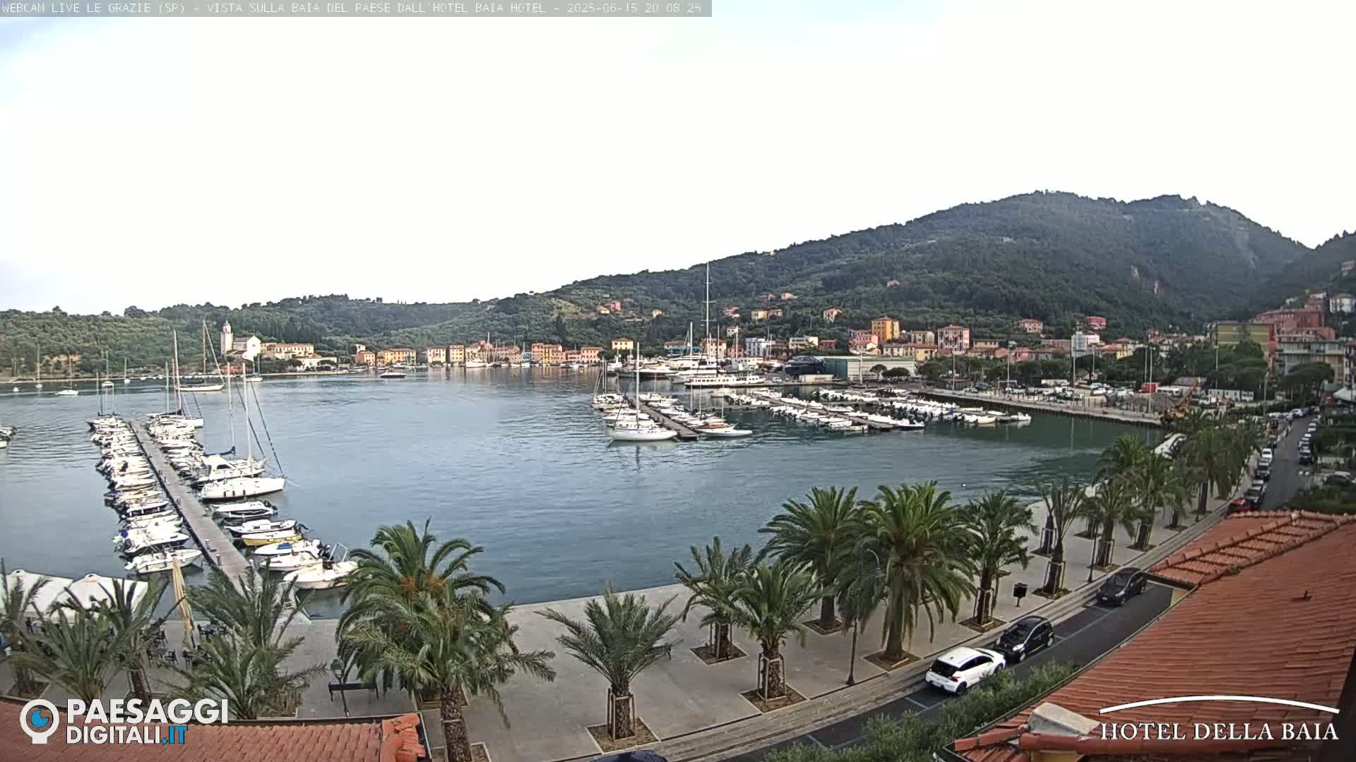 A harbor filled with sailboats is nestled beside a town at the base of a verdant hill under a clear sky.
