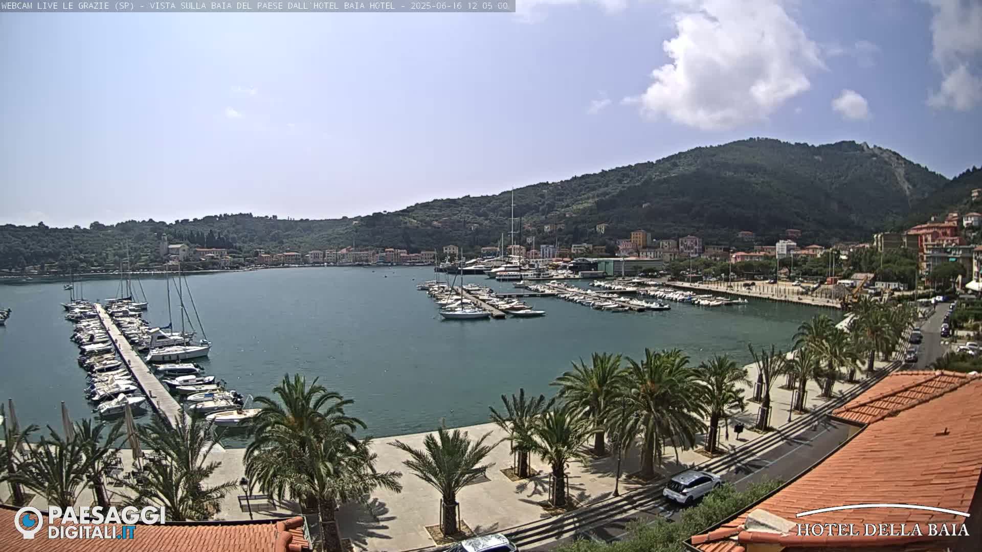 A harbor filled with sailboats is situated below a hillside town under a mostly sunny sky.