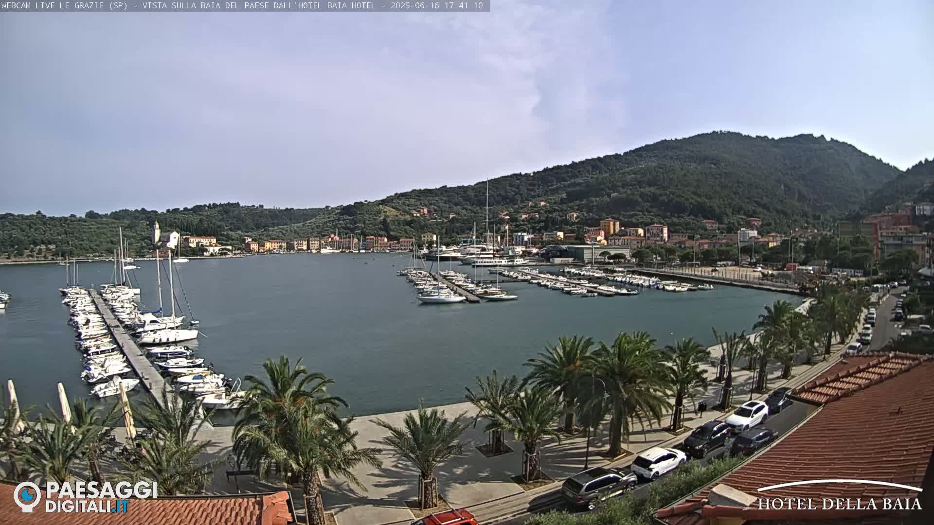 A harbor filled with sailboats and yachts is situated at the base of a green hill under a mostly clear sky.