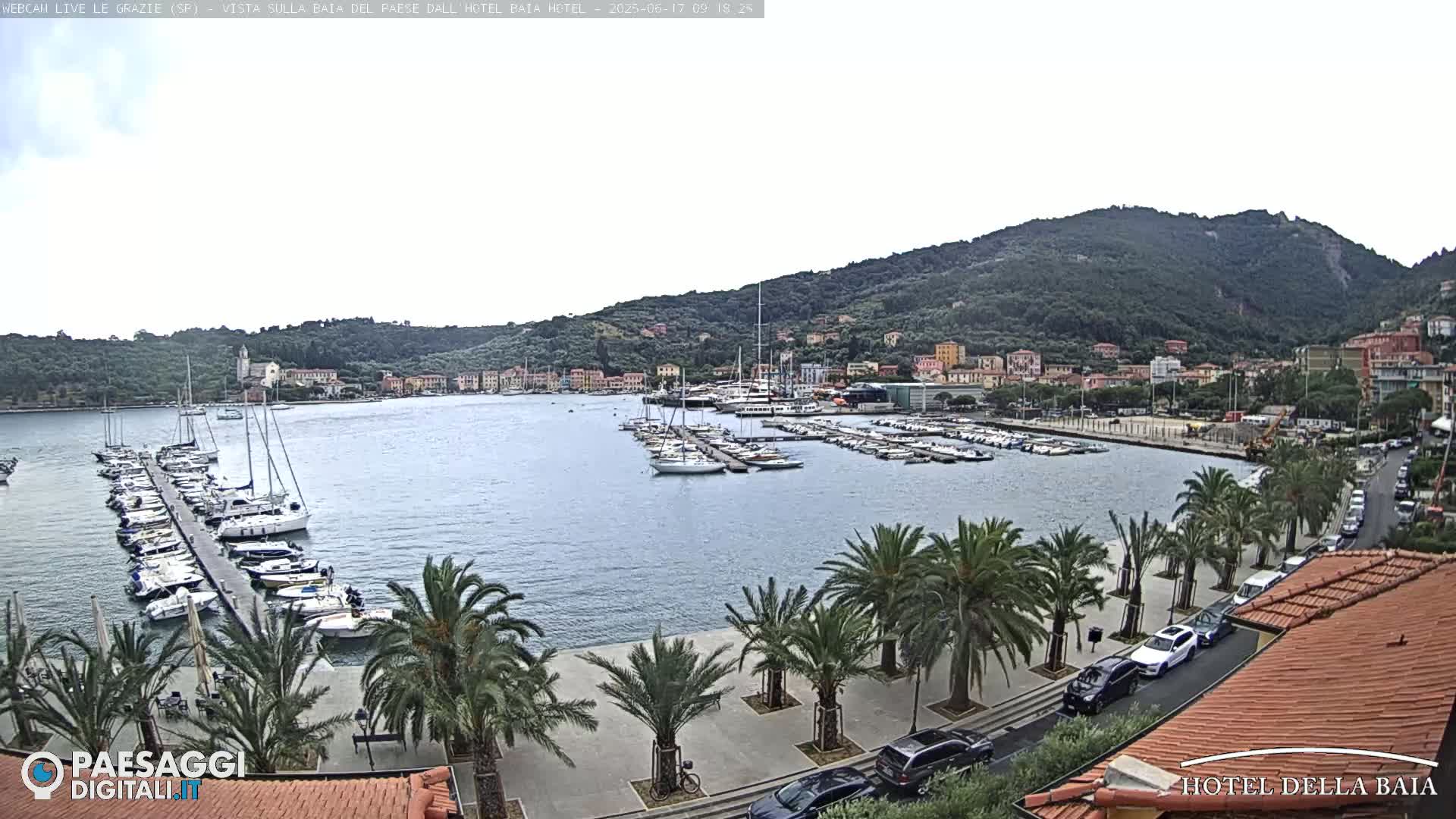A harbor filled with sailboats and yachts is nestled between a town and a verdant hillside under an overcast sky.