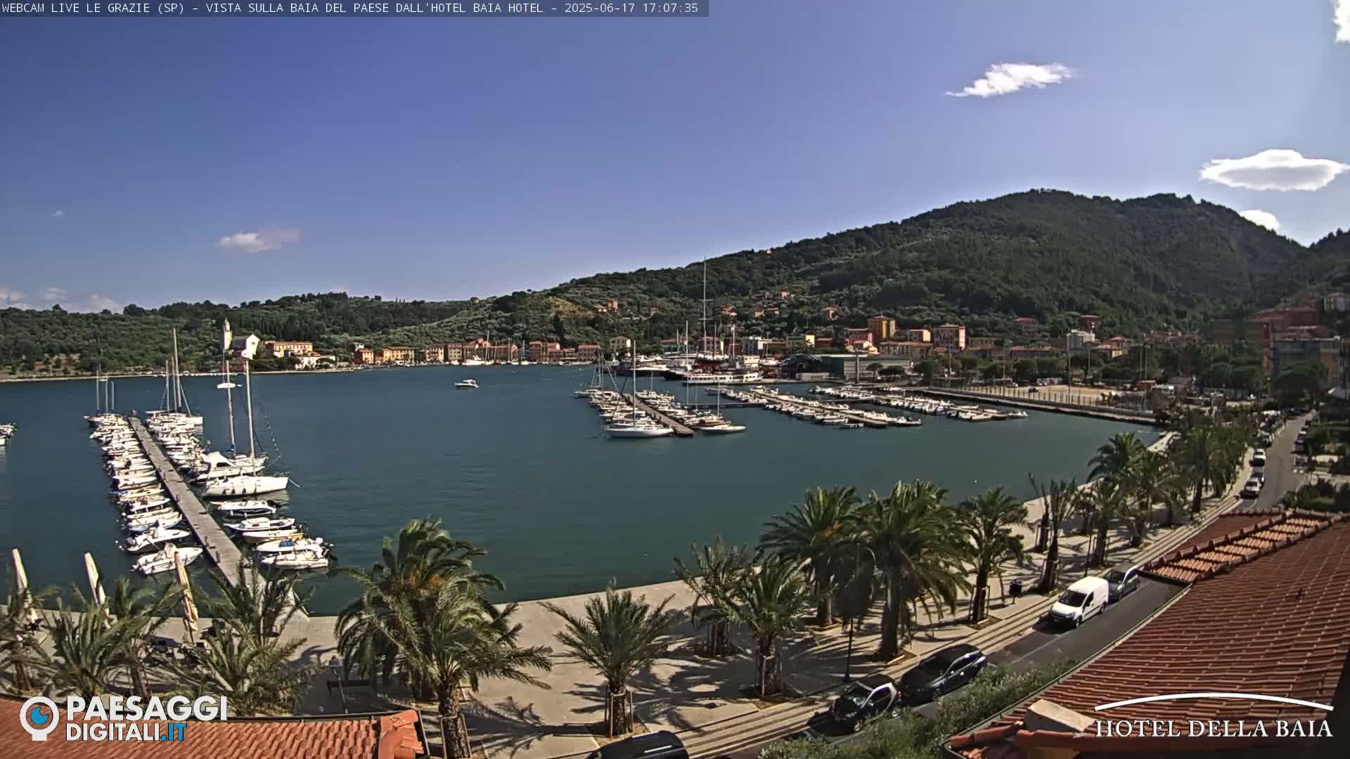 A harbor filled with sailboats and yachts is situated below a hillside town under a clear, sunny sky.