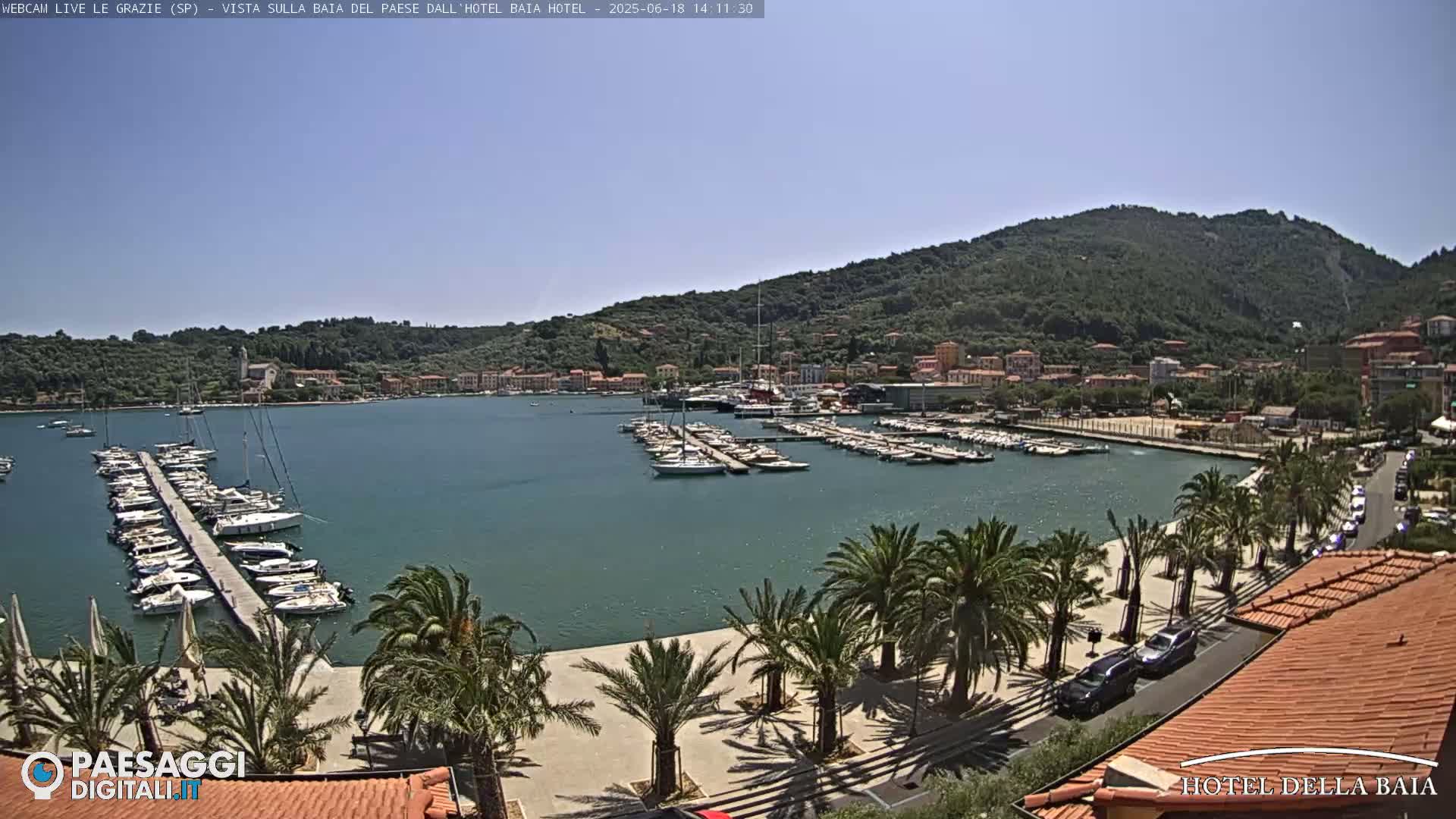 A sunny day overlooking a harbor filled with boats, a waterfront promenade lined with palm trees, and a town nestled against a green hillside.