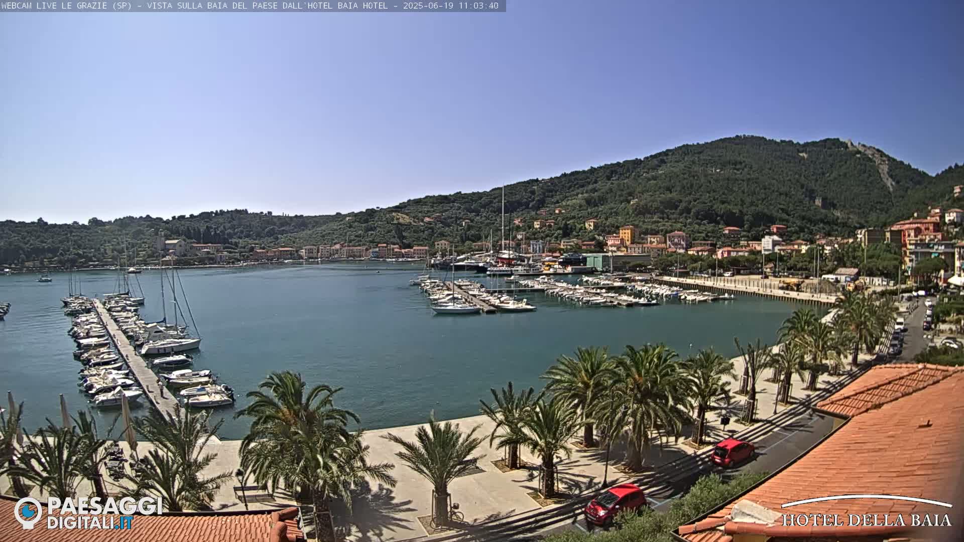 A sunny day overlooking a harbor filled with sailboats and yachts, a town nestled against a hillside, and a palm-tree lined promenade.