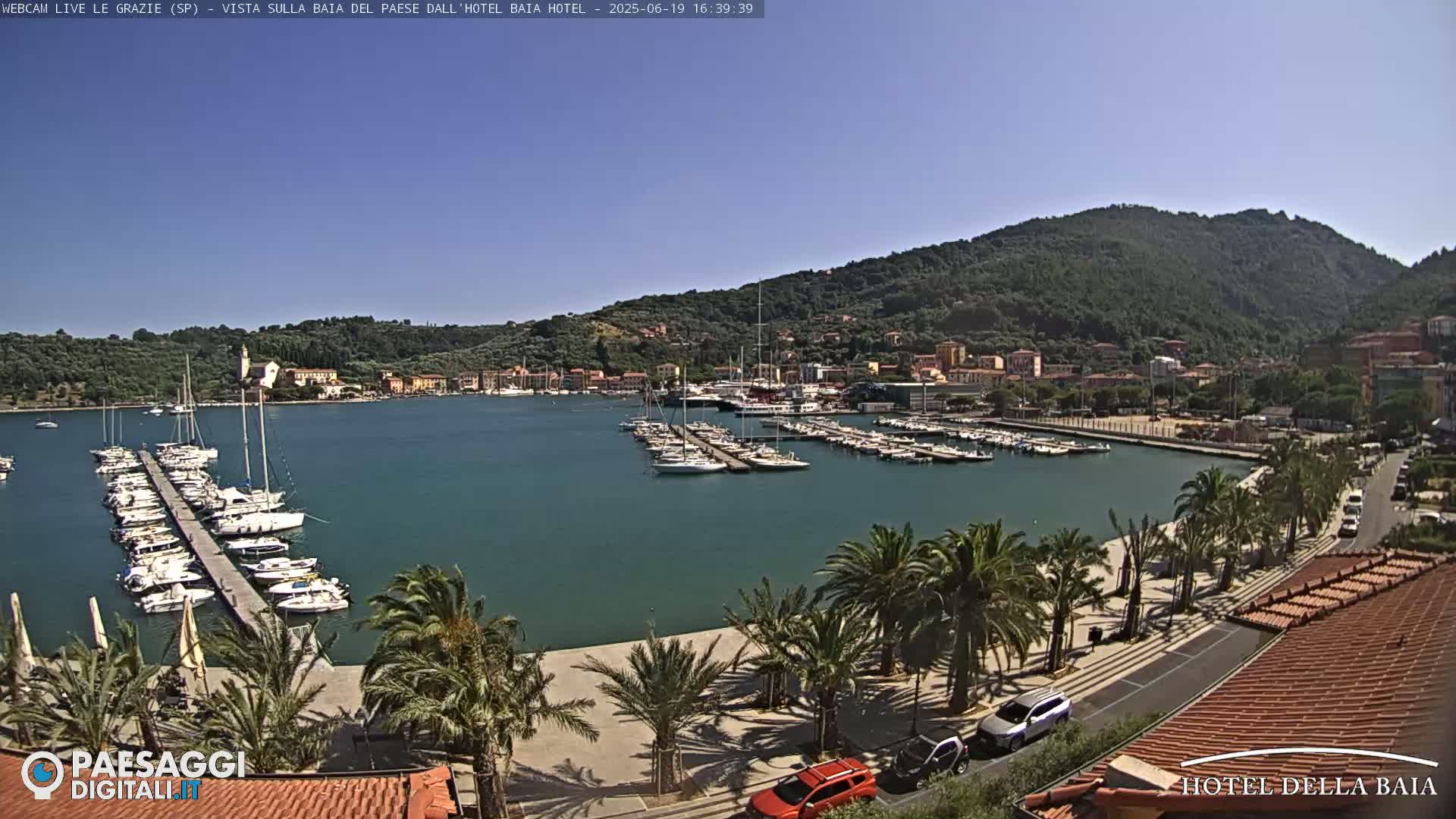 A sunny day shows a harbor filled with sailboats and yachts, a town nestled against a green hillside, and a palm-tree-lined promenade.