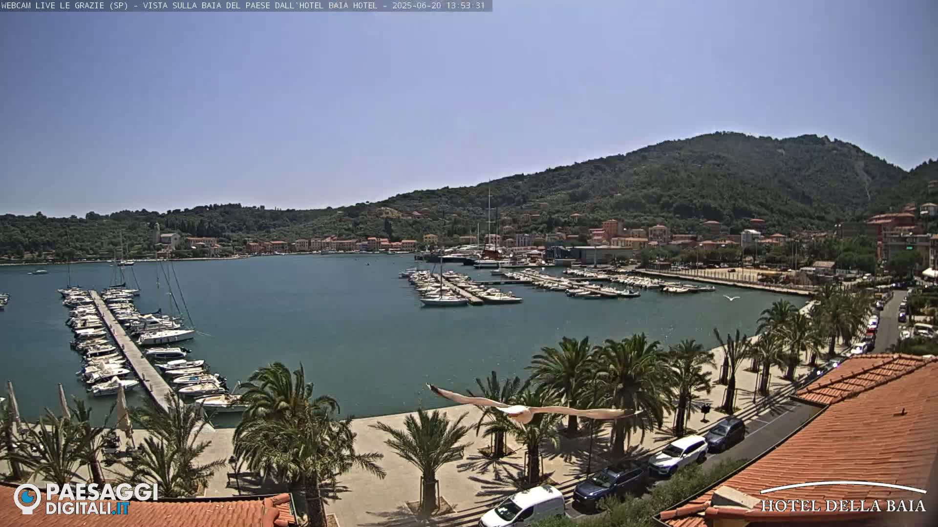 A sunny harbor scene shows a marina filled with boats, a waterfront promenade lined with palm trees, and a hillside town in the background.