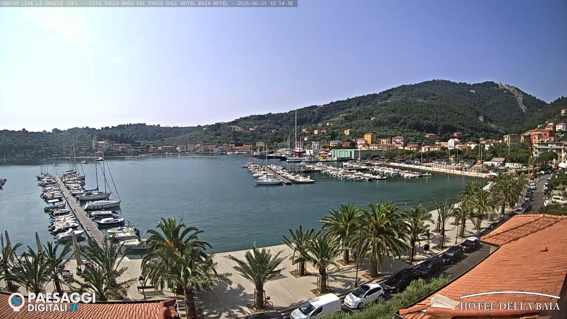 A harbor filled with sailboats and motorboats is nestled below a hillside town on a clear, sunny day.
