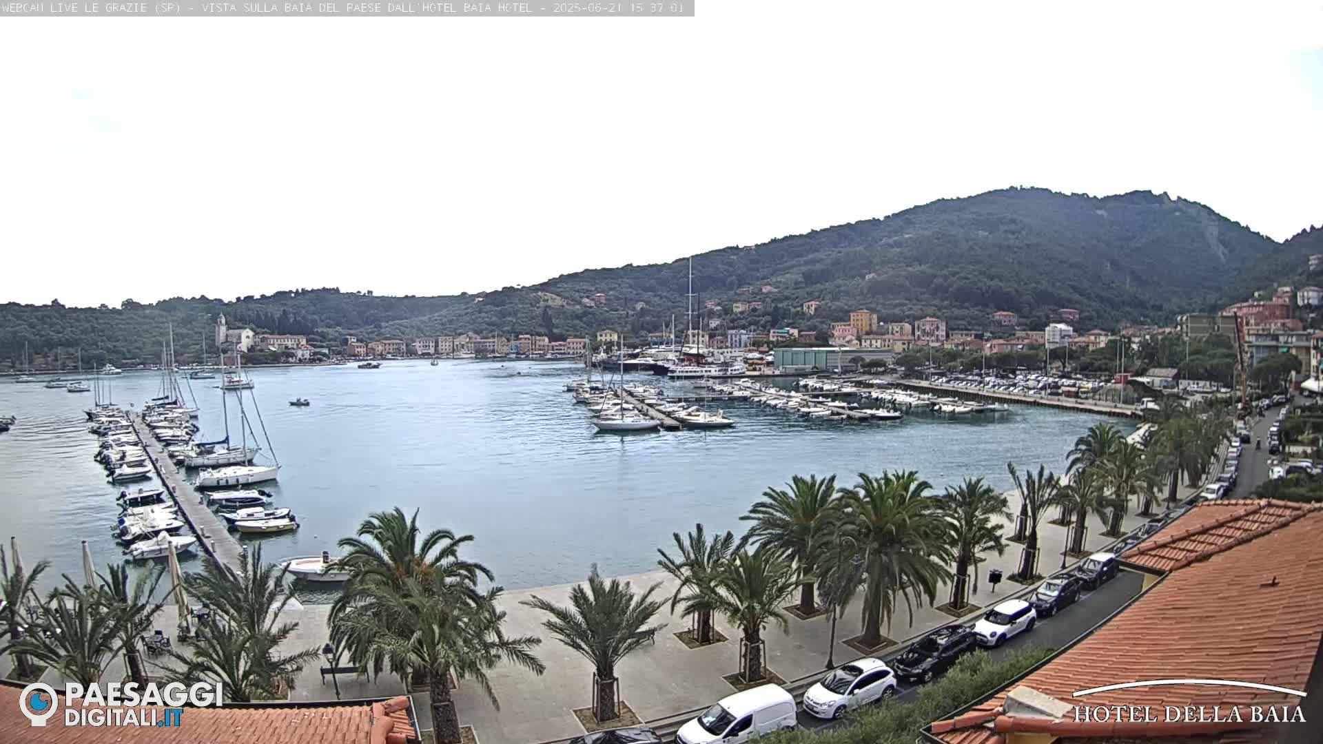 A harbor filled with sailboats is surrounded by a town nestled against a hillside, all under a mostly cloudy sky.