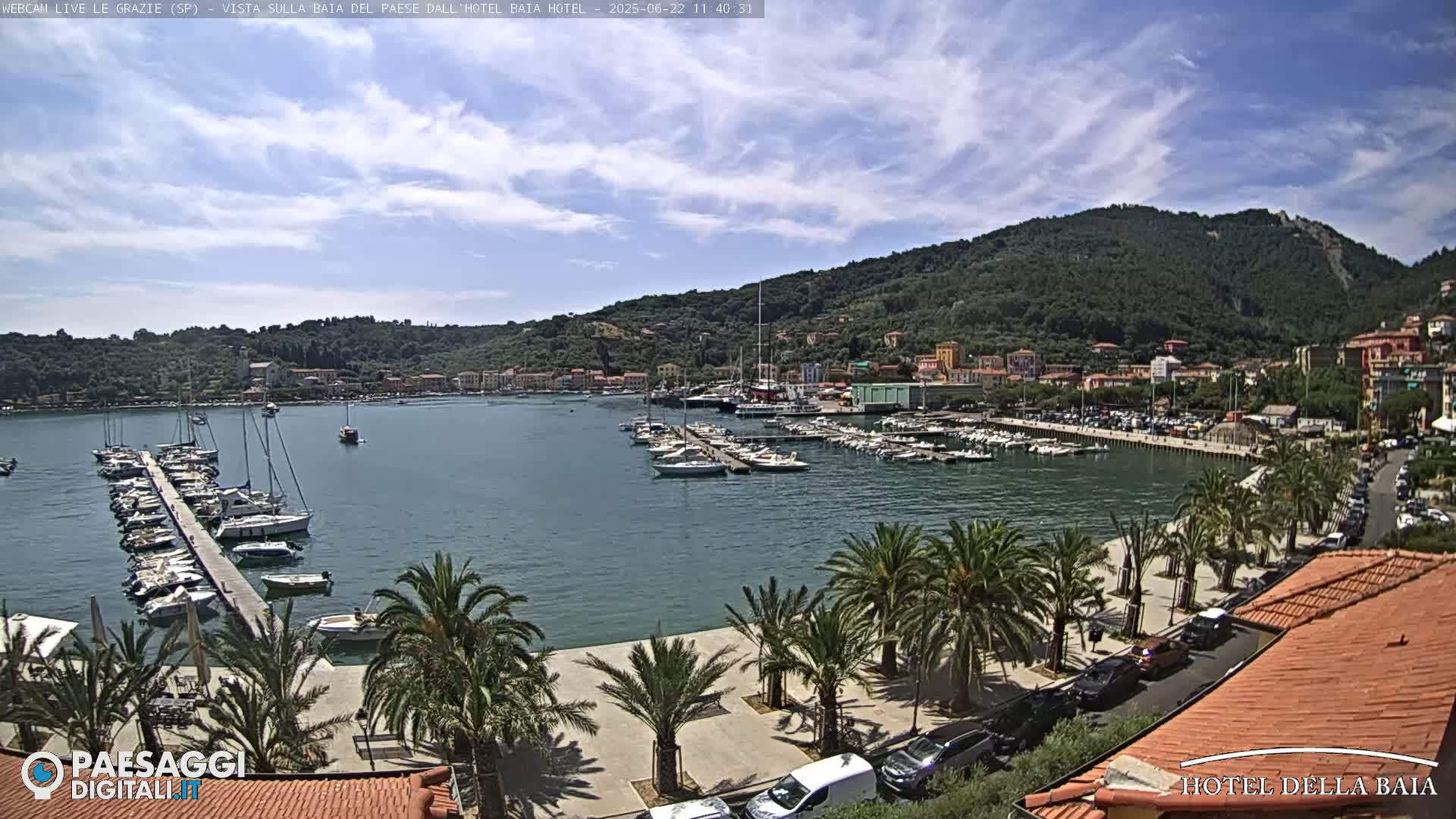 A harbor filled with sailboats is viewed from a waterfront promenade lined with palm trees under a partly cloudy sky.