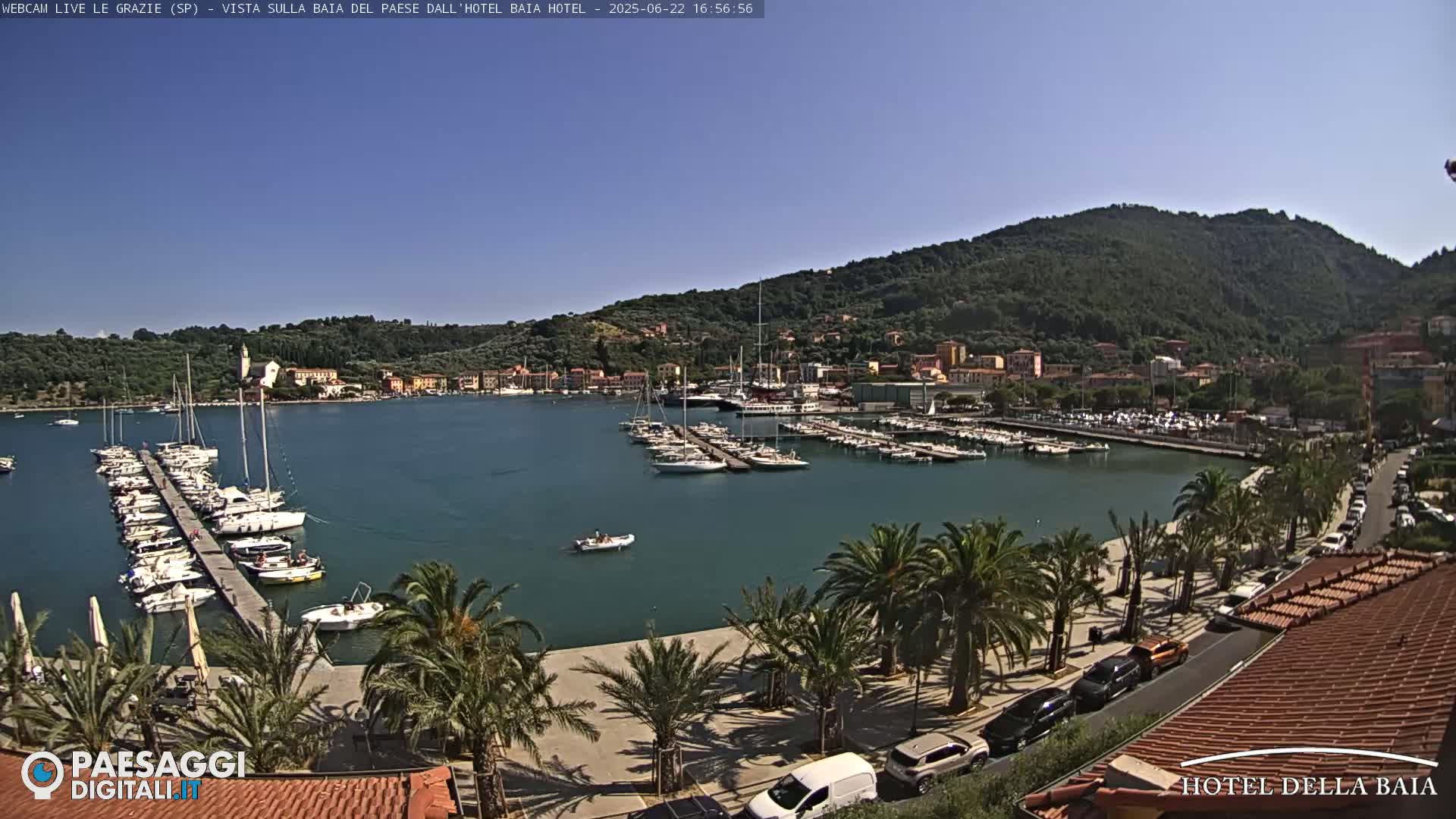 A harbor filled with sailboats and yachts is situated below a hillside town under a clear blue sky.