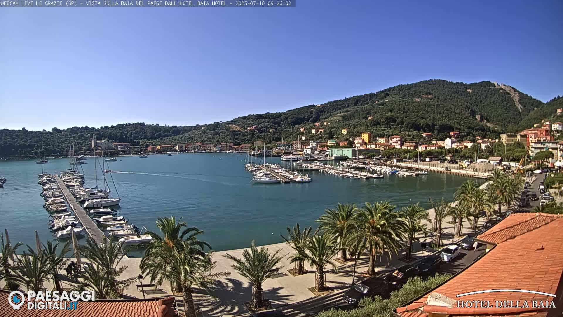 A harbor filled with boats is situated below a hillside town under a clear blue sky.