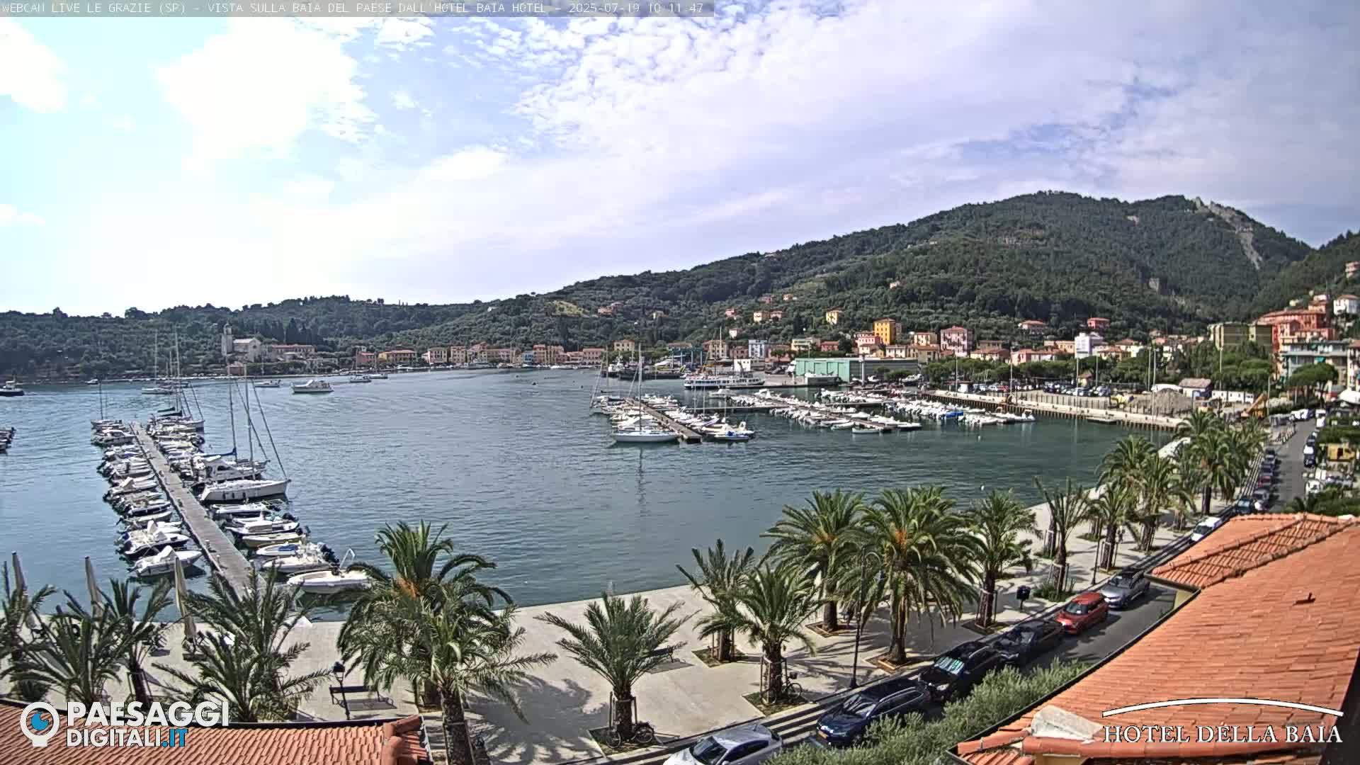 A harbor filled with sailboats and motorboats is situated below a hillside town, under a partly cloudy sky.