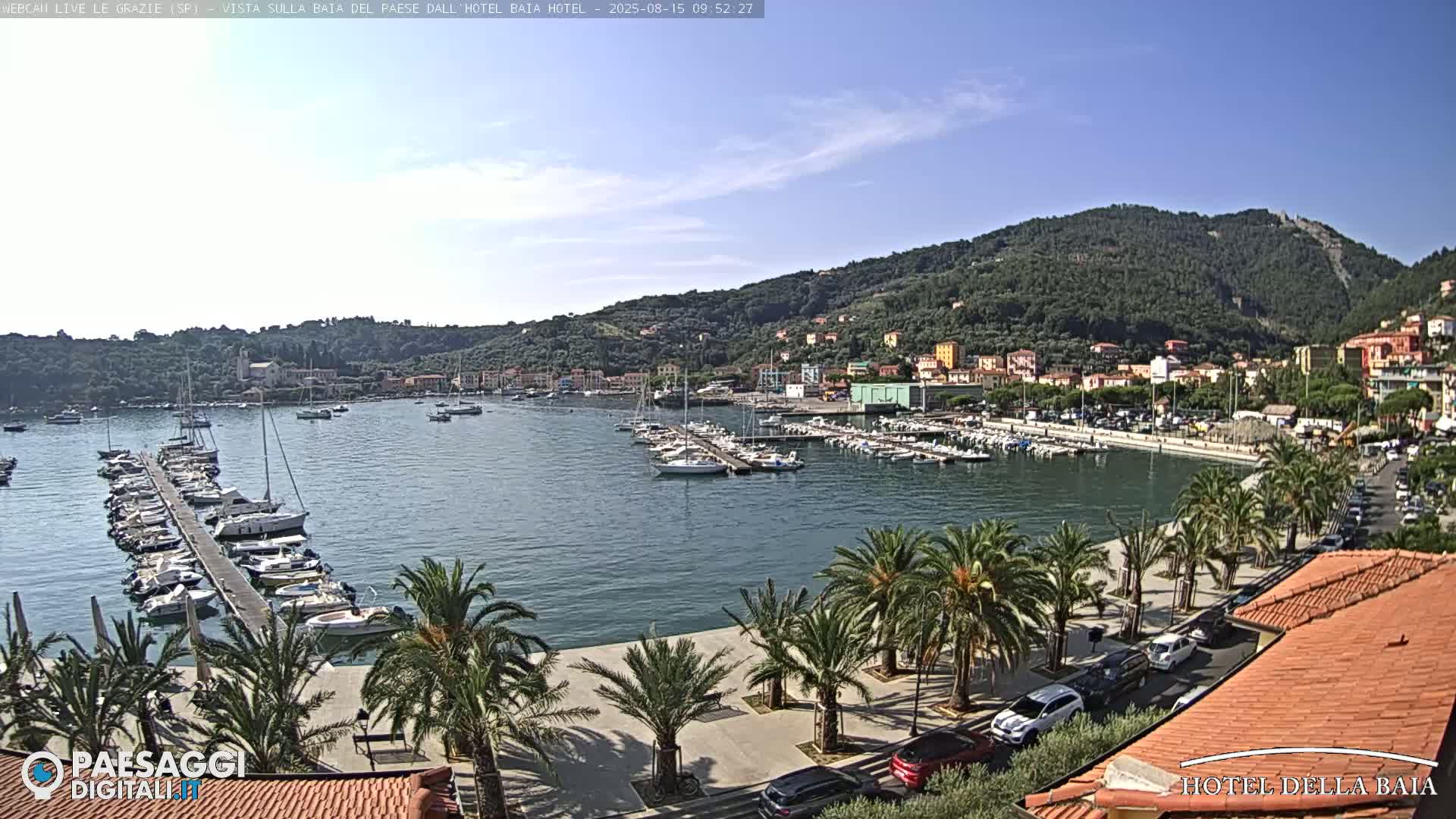 A harbor filled with boats is seen from an elevated vantage point on a sunny day, with palm trees lining a paved walkway along the waterfront and a hillside town in the background.