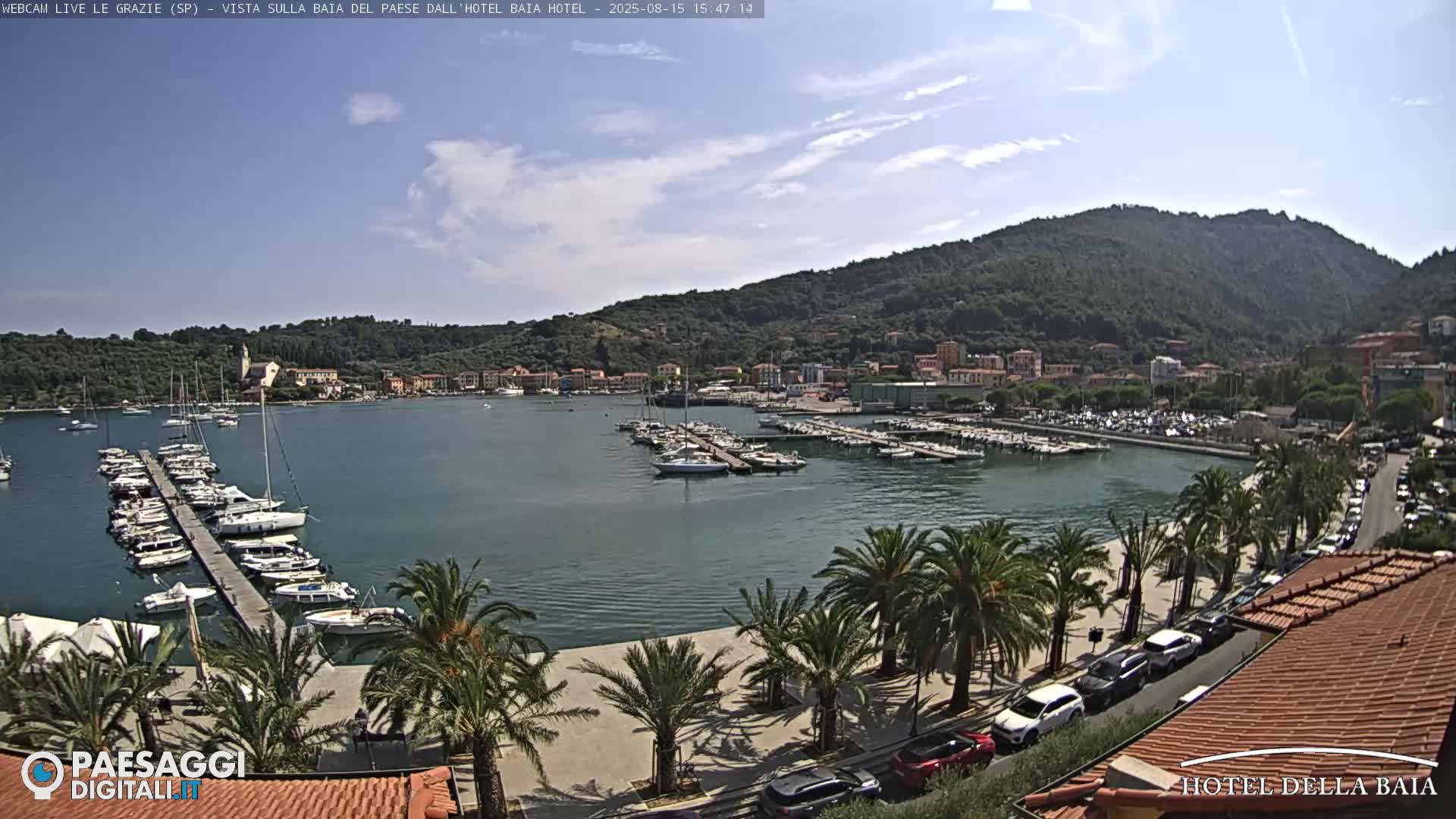 A harbor filled with boats is seen from an elevated vantage point on a sunny day, with palm trees lining a paved walkway along the waterfront and a hillside town in the background.