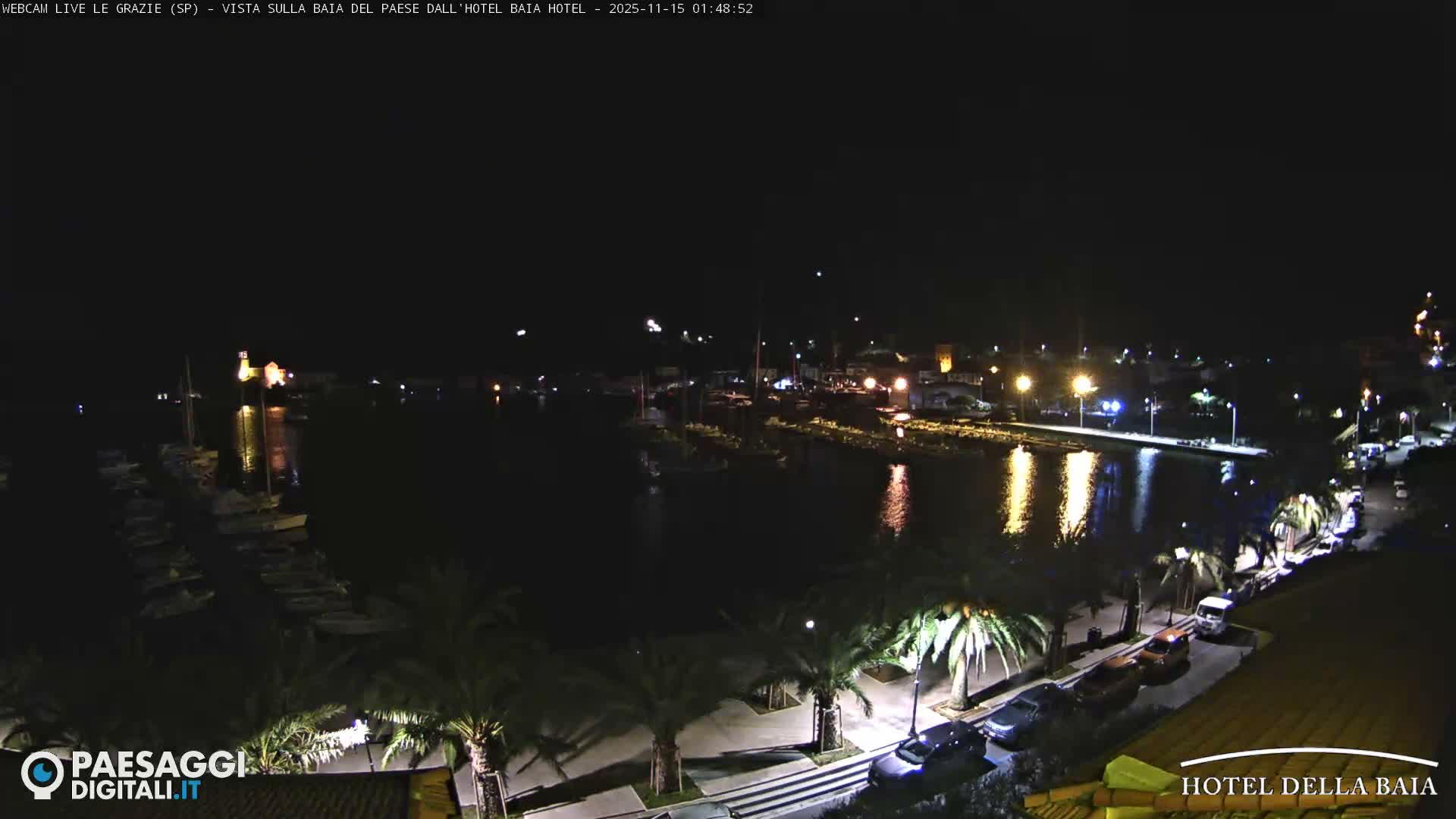 A clear night reveals an illuminated harbor dotted with numerous docked boats, a palm tree-lined promenade with cars, and glowing streetlights and distant buildings casting reflections onto the dark water.