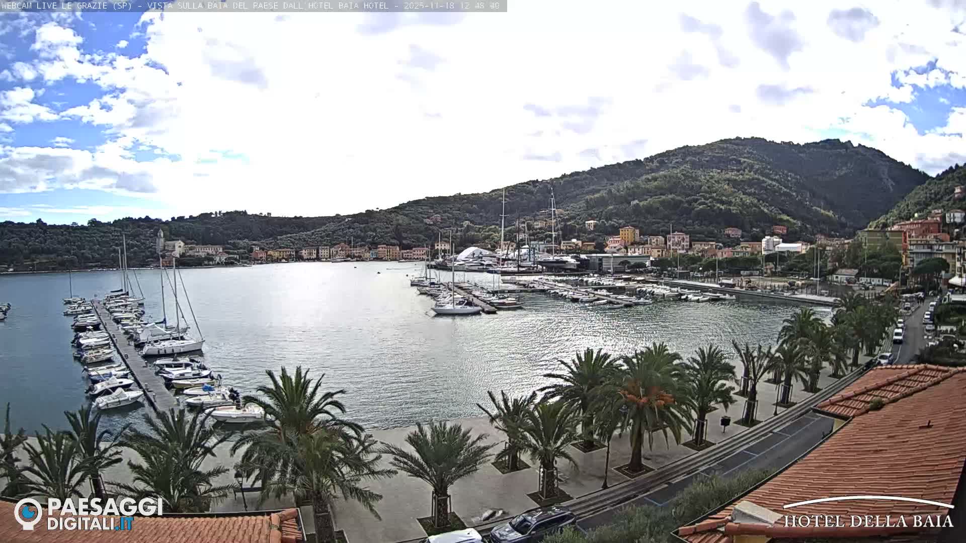 A clear night reveals an illuminated harbor dotted with numerous docked boats, a palm tree-lined promenade with cars, and glowing streetlights and distant buildings casting reflections onto the dark water.