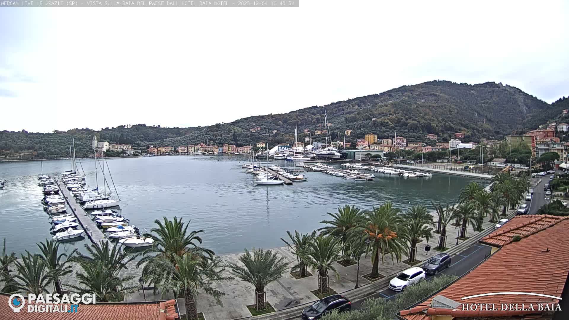 A wide shot of a calm bay shows a marina filled with boats and yachts, a waterfront road lined with palm trees and a few cars, and a colorful town nestled against a densely forested hillside under an overcast sky.