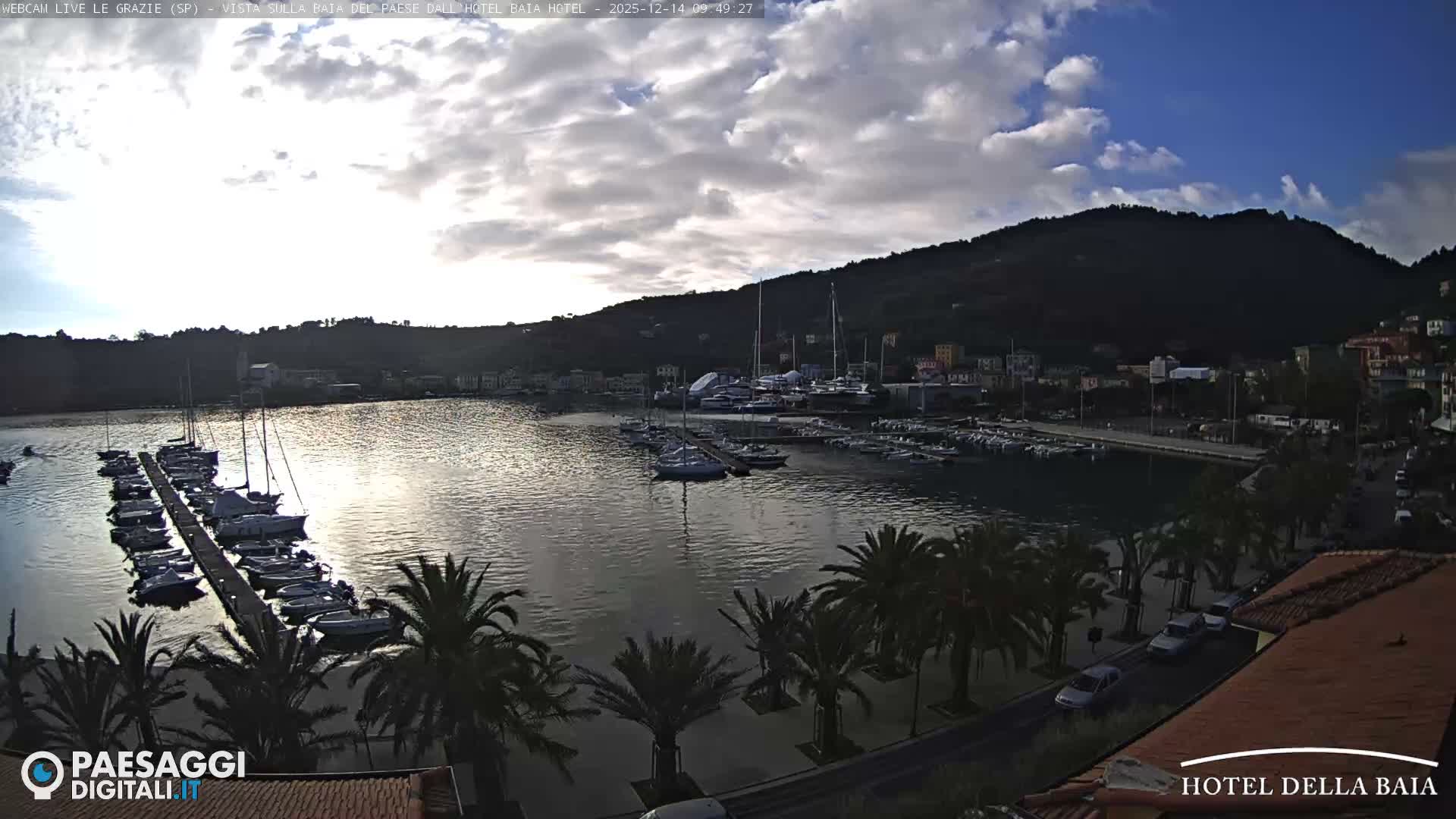 A wide shot of a calm bay shows a marina filled with boats and yachts, a waterfront road lined with palm trees and a few cars, and a colorful town nestled against a densely forested hillside under an overcast sky.