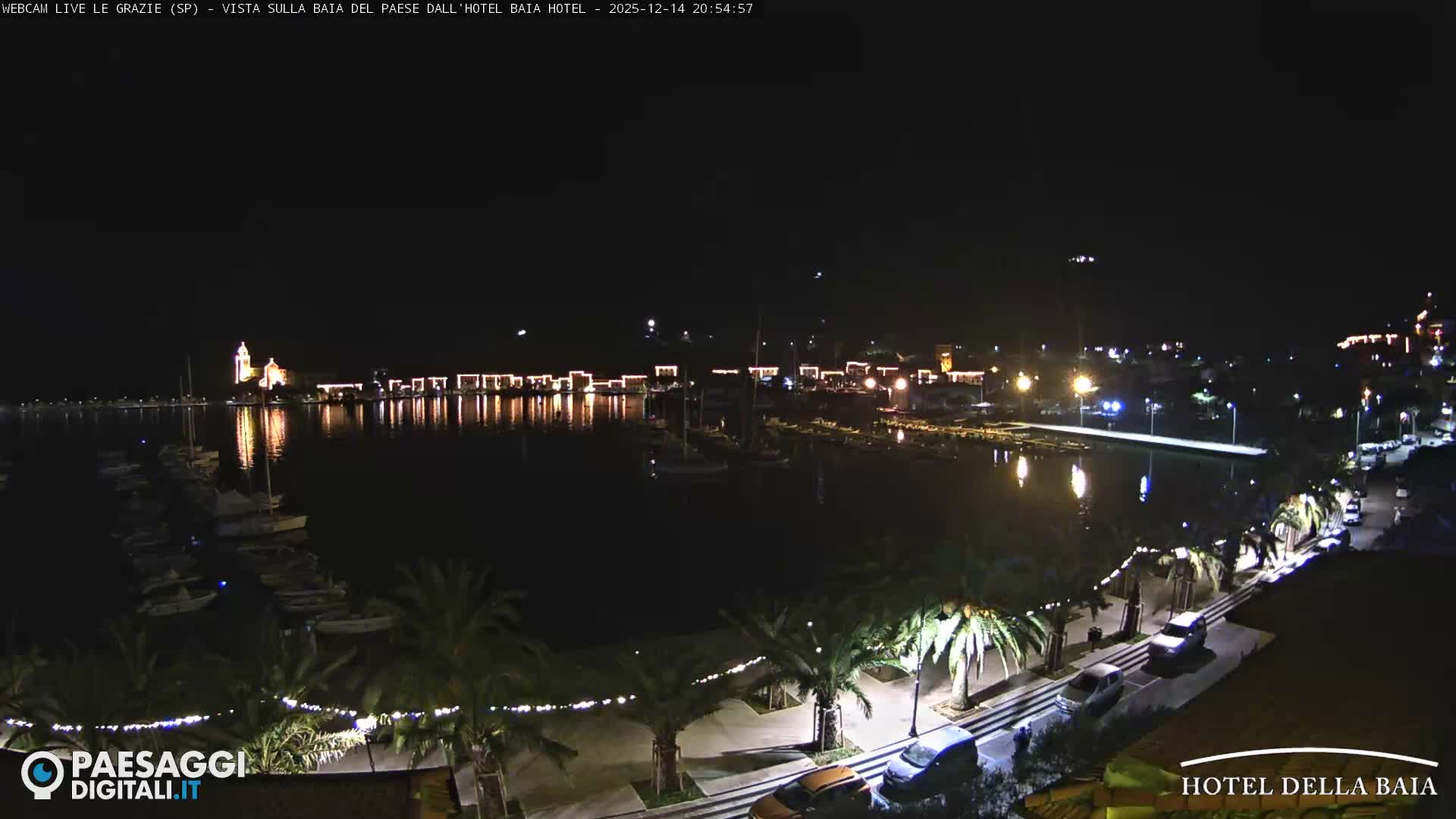 A wide shot of a calm bay shows a marina filled with boats and yachts, a waterfront road lined with palm trees and a few cars, and a colorful town nestled against a densely forested hillside under an overcast sky.