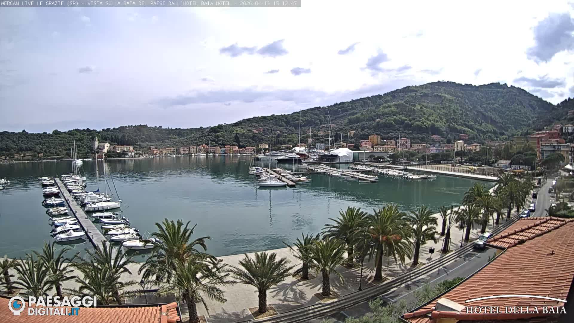 A wide shot of a calm bay shows a marina filled with boats and yachts, a waterfront road lined with palm trees and a few cars, and a colorful town nestled against a densely forested hillside under an overcast sky.