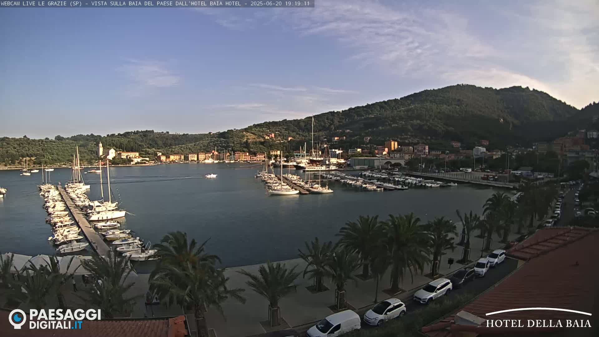 A harbor filled with sailboats and yachts is nestled beside a town situated at the base of a verdant hill under a clear, bright sky.