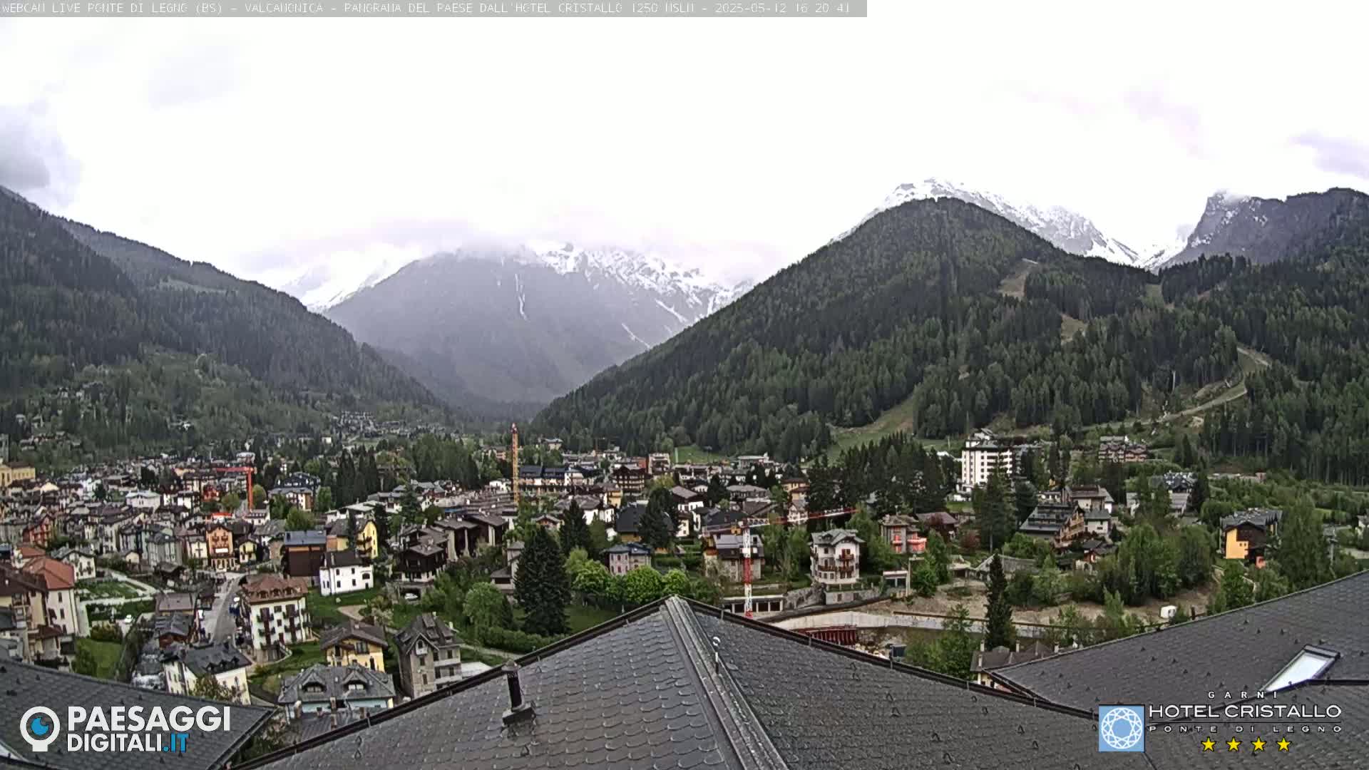 A mountain valley town, nestled amongst green hills and snow-capped mountains under an overcast sky, is seen from a rooftop.