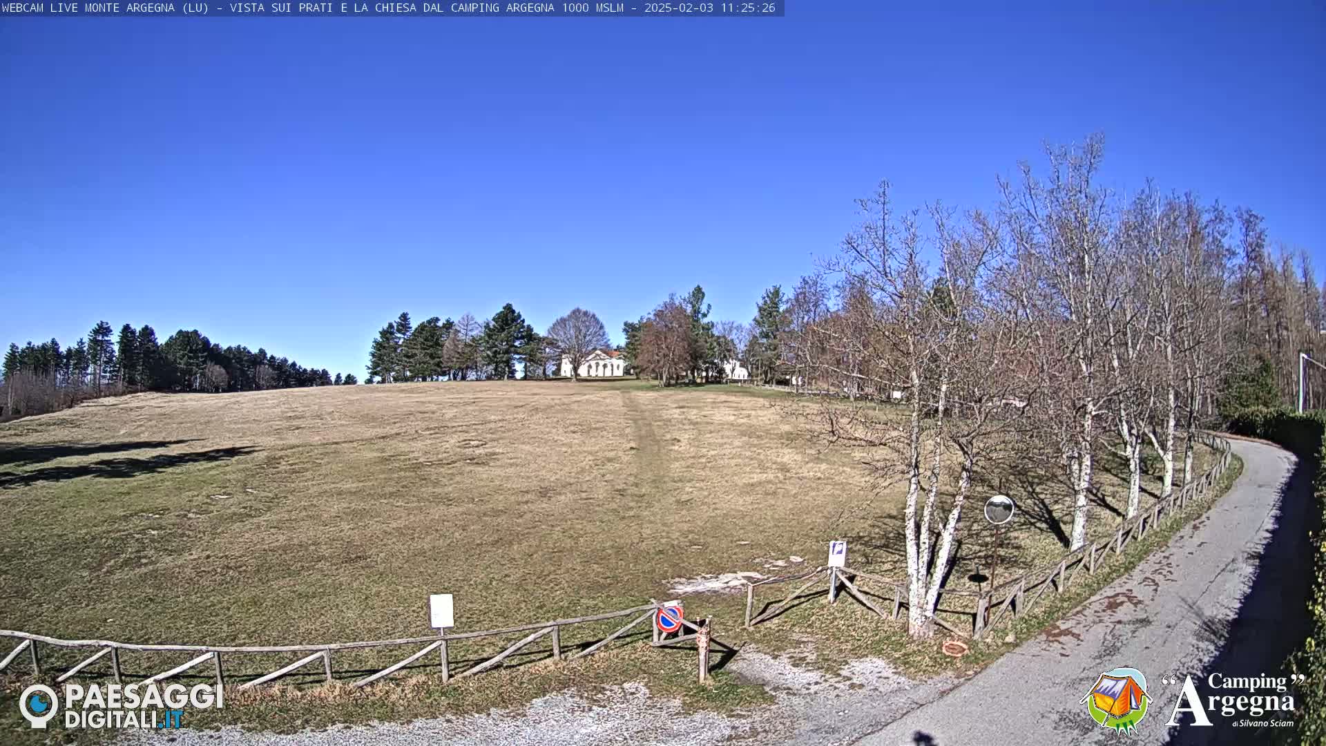 A grassy field with leafless trees and a white building in the background under a clear blue sky.