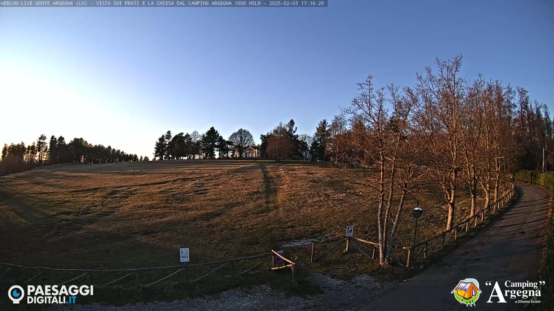 A wide, grassy field slopes gently down to a paved road lined with bare trees under a clear blue sky.