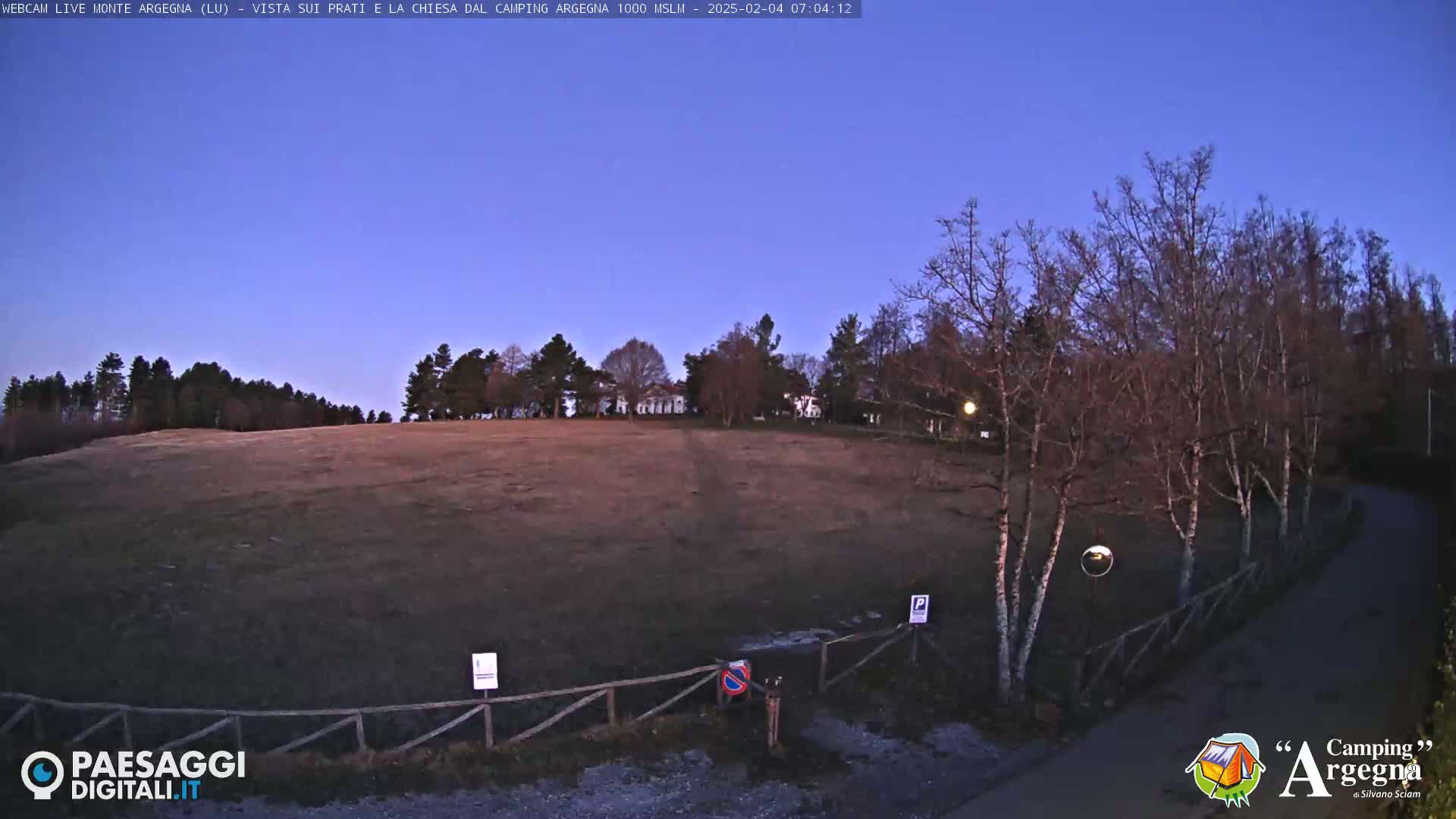 A brown, grassy field stretches towards a line of bare trees under a twilight sky.