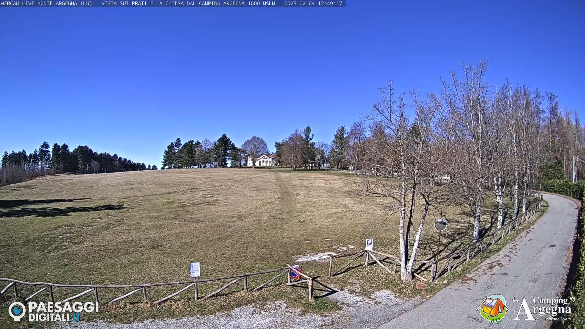 A wide, grassy field slopes gently down to a paved road, bordered by leafless trees under a clear blue sky.