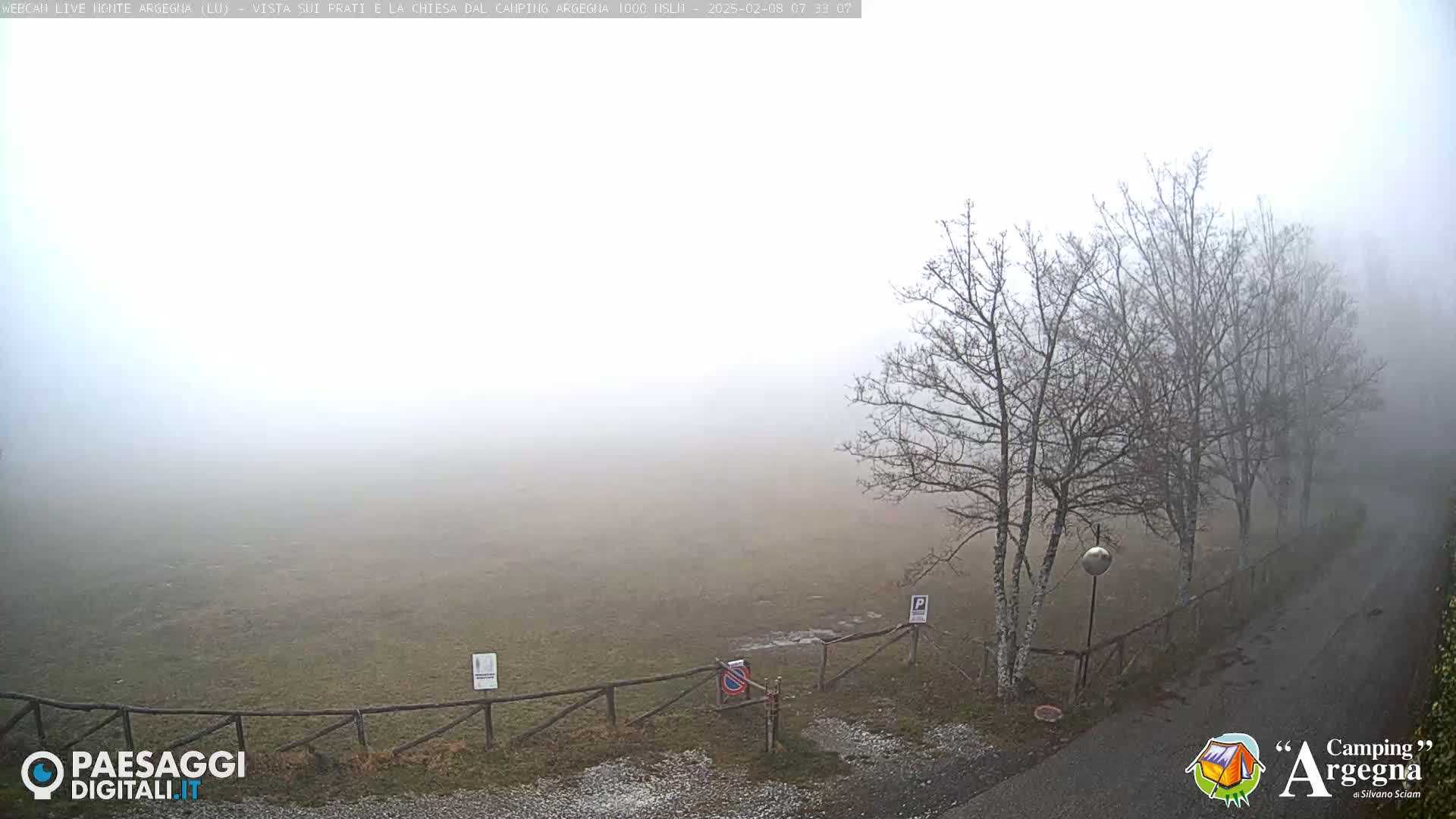 A foggy field is enclosed by a wooden fence, with bare trees lining a road in the foreground.