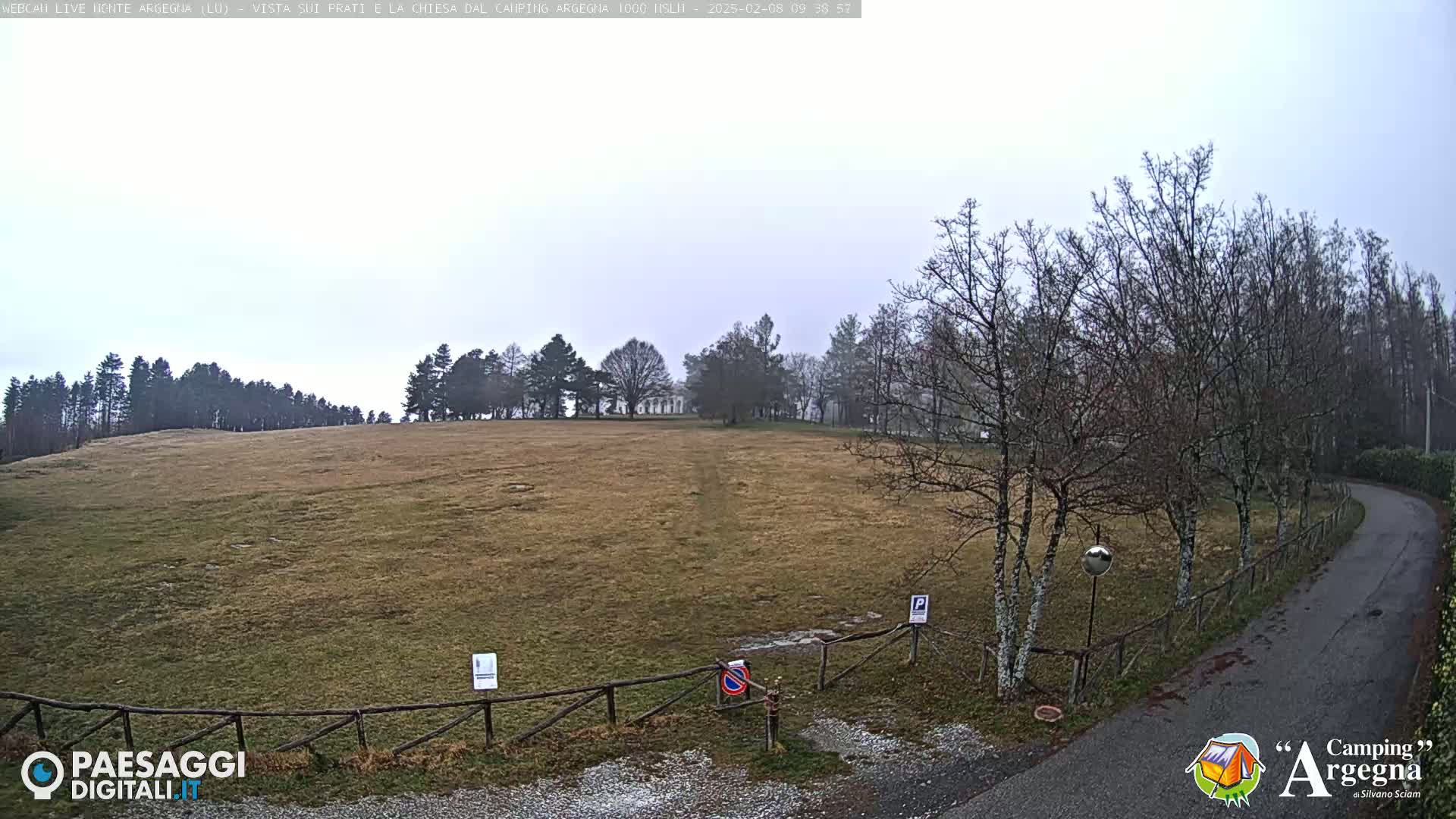 A wide, flat, grassy field stretches toward a line of leafless trees under an overcast sky.