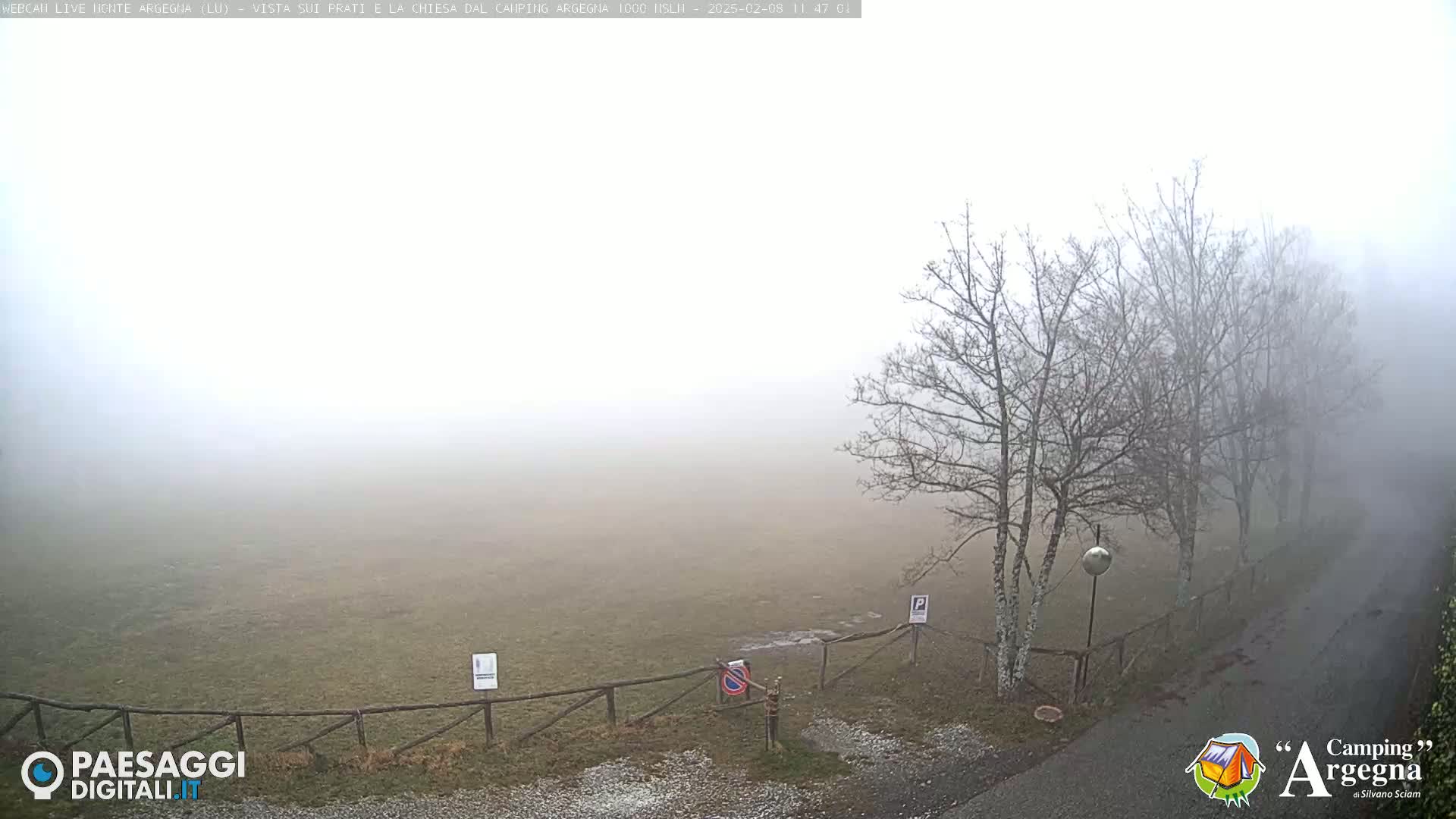A foggy field with bare trees and a wooden fence is visible from a slightly elevated vantage point.