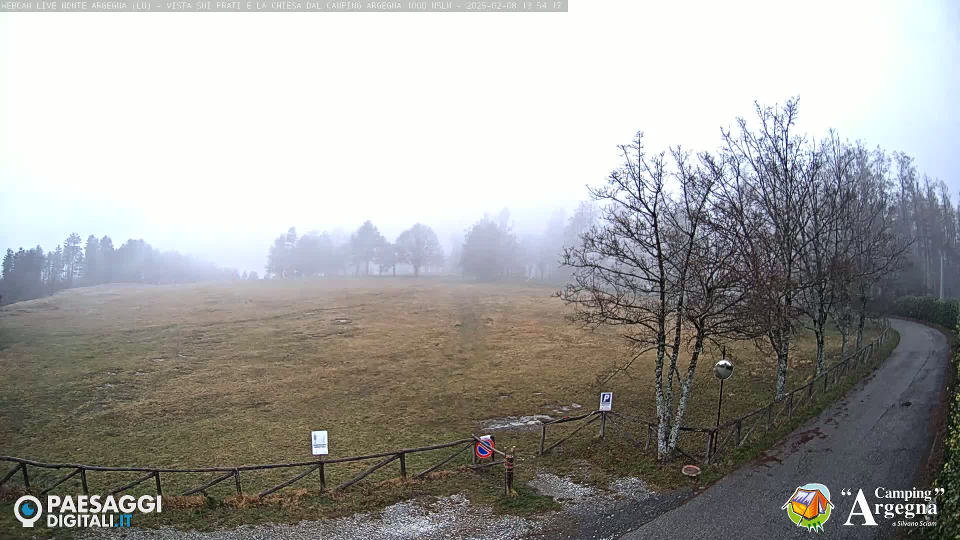 A foggy field with leafless trees and a paved road is visible, a wooden fence borders the field and road.
