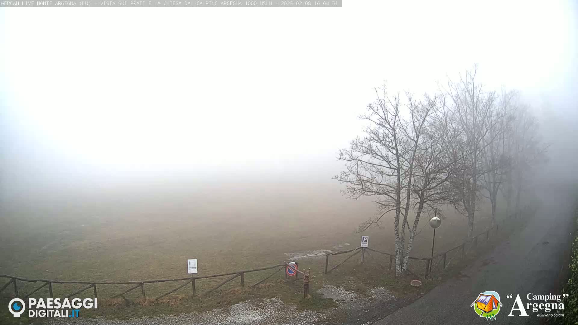 A foggy field is enclosed by a wooden fence, with bare trees visible in the background and a road in the foreground.