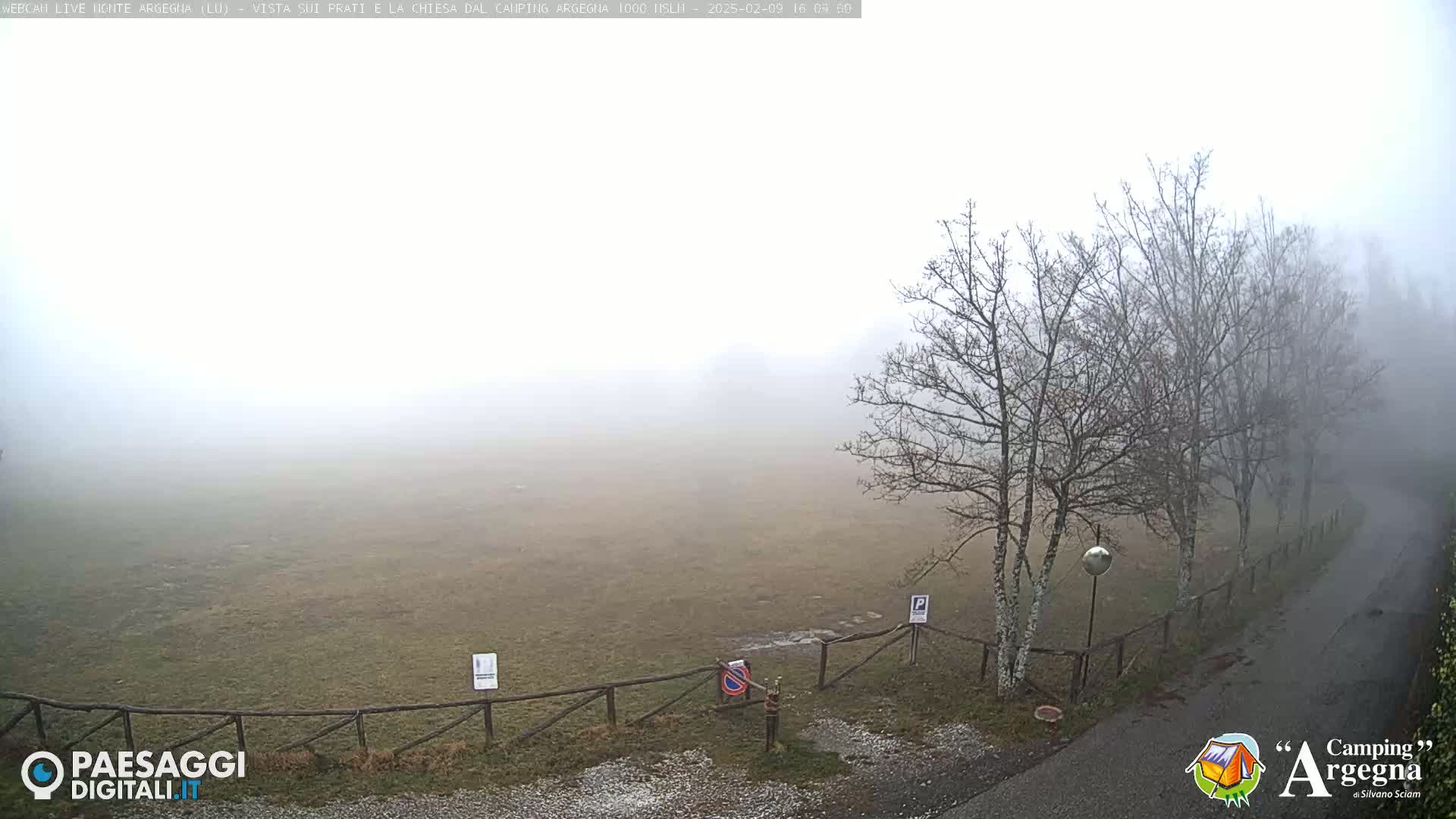 A foggy field is enclosed by a wooden fence, with leafless trees and a paved road visible in the foreground.