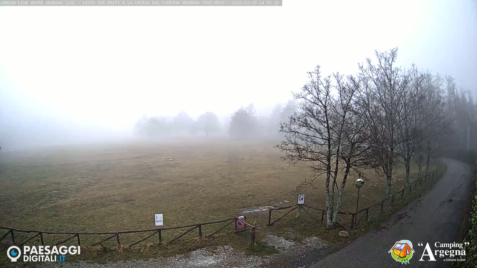 A foggy field with bare trees and a wooden fence is visible from a slightly elevated vantage point, alongside a paved road curving into the distance.