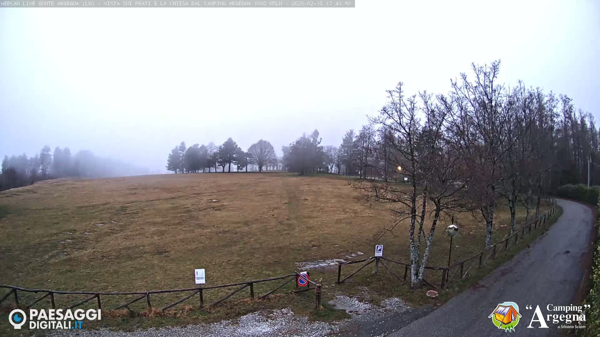 A foggy, overcast day reveals a brown, grassy field enclosed by a wooden fence, with leafless trees lining a paved road curving into the background.