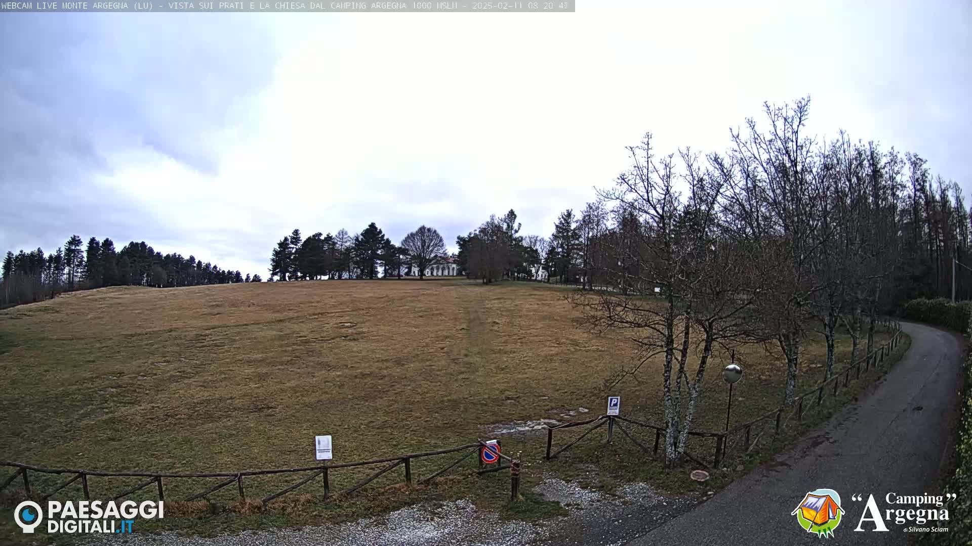 A wide, flat, brown field is bordered by bare winter trees and a paved road, under a cloudy sky.