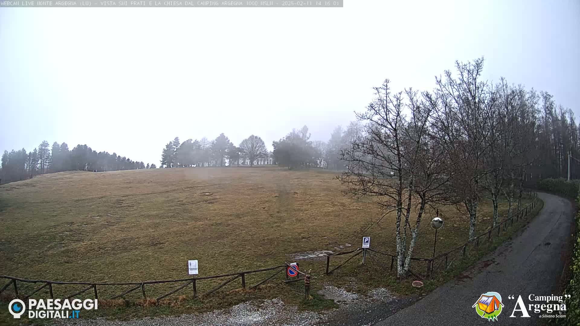 A wide, flat field stretches to a line of trees shrouded in fog, with a paved road curving through bare, winter trees and a wooden fence in the foreground.