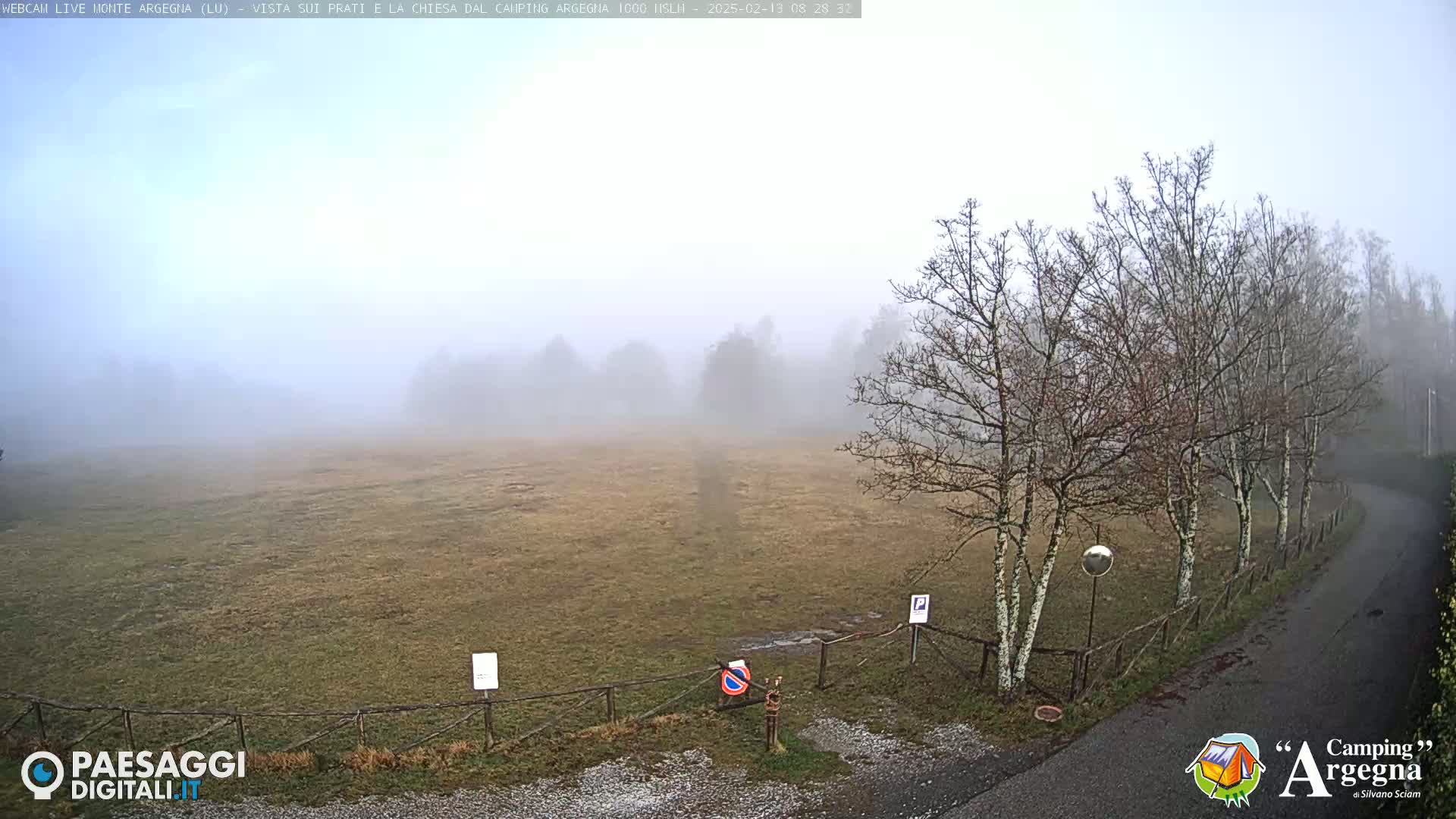 A foggy field with leafless trees and a road is visible, a fence runs along the bottom of the field.