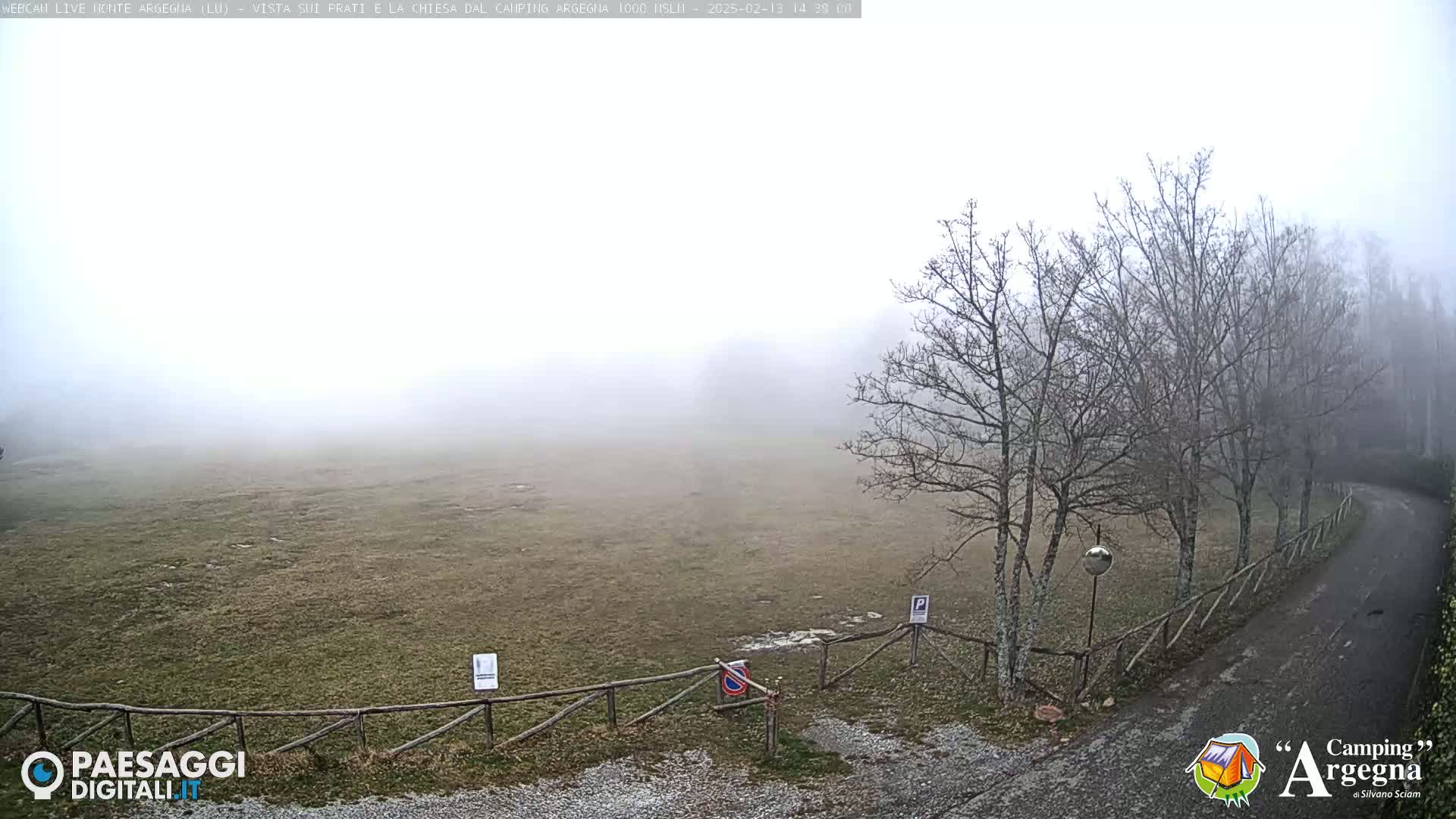 A foggy field with bare trees and a wooden fence borders a paved road.