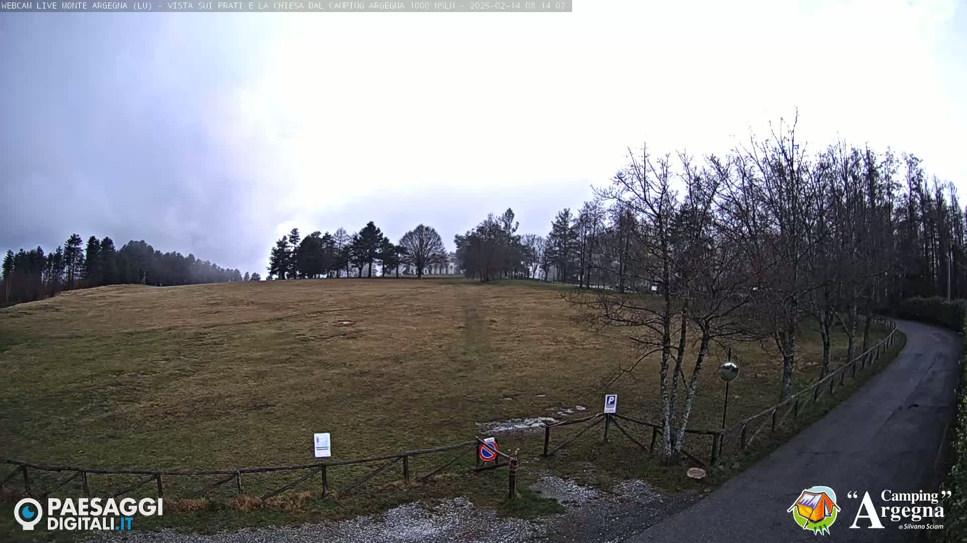 A large, flat, grassy field bordered by bare trees and a paved road under an overcast sky.
