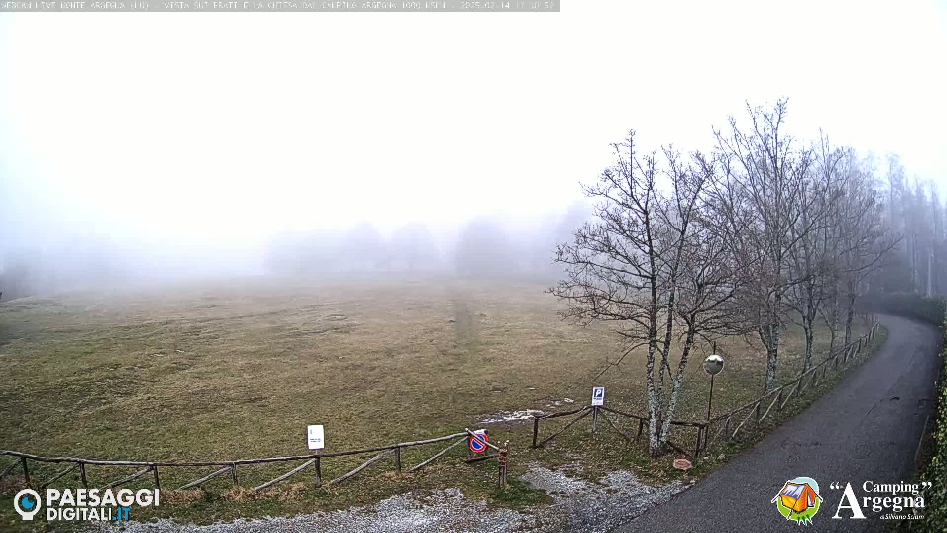 A foggy field is visible beyond a wooden fence and a curving roadway lined with bare trees.