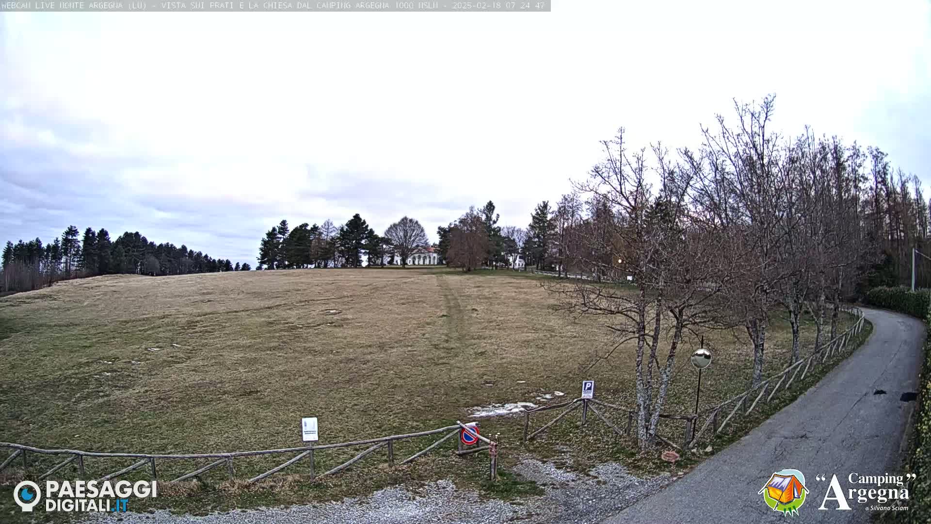 A large, mostly barren field sits under an overcast sky, with a road and bare trees bordering the right side, and a line of dark trees in the background.