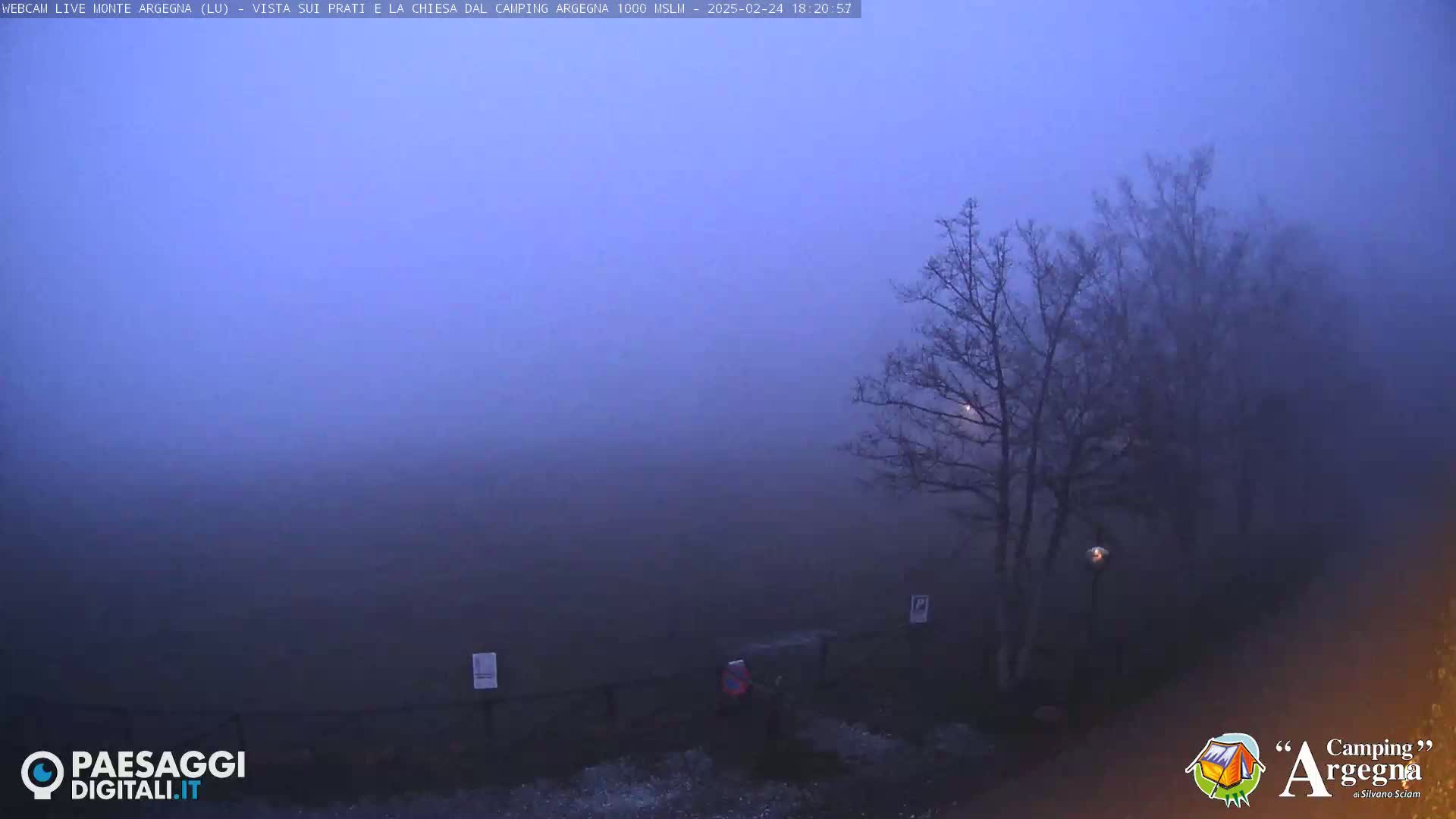 A foggy, twilight scene shows bare trees and a fence in a field.