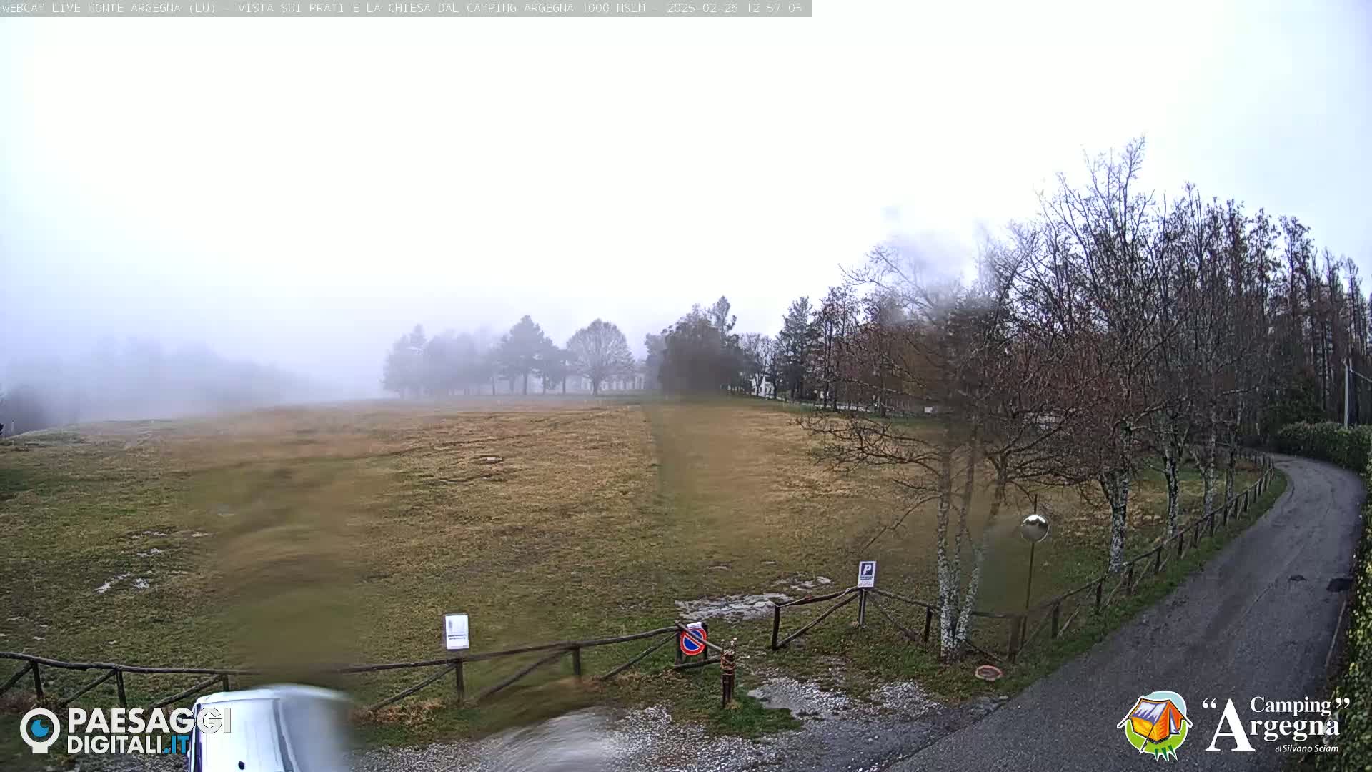 A foggy field with leafless trees and a paved road is visible, with a wooden fence bordering the field.