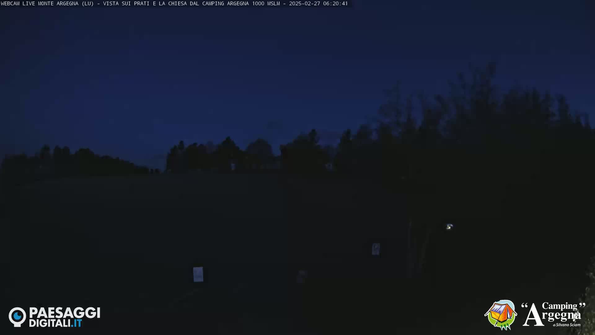 A dark, nighttime landscape shows a silhouetted line of trees against a deep blue twilight sky.