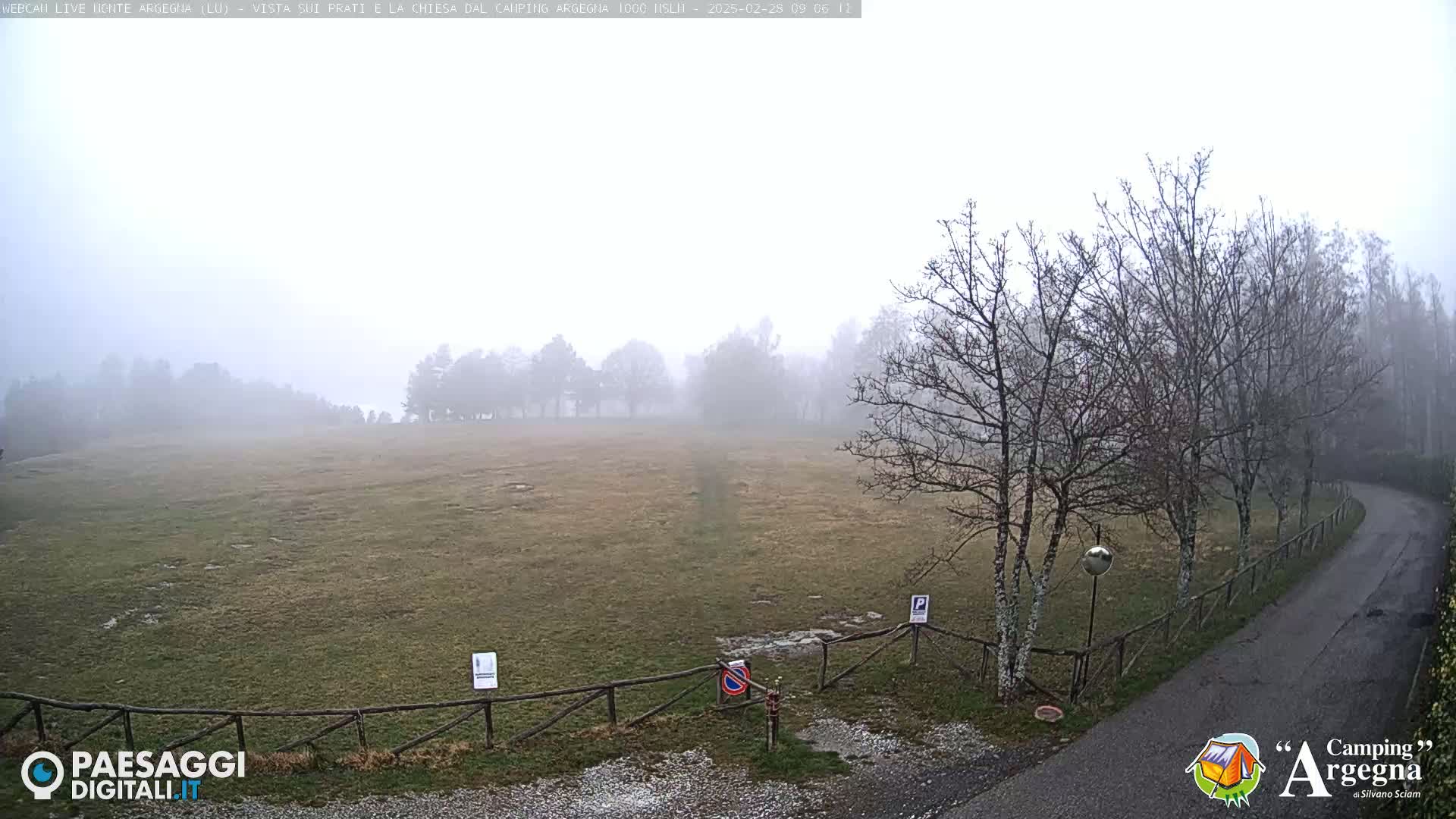 A foggy field is bordered by bare trees and a paved road, with a wooden fence separating the field from the road.