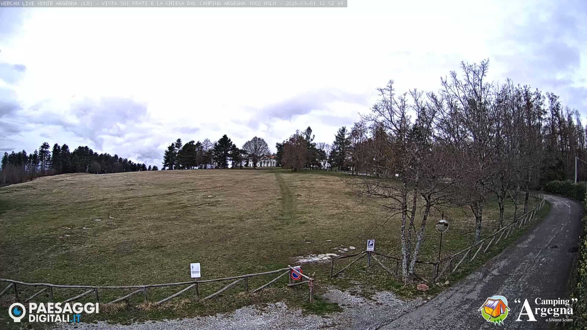 A grassy field with leafless trees and a building in the distance under a cloudy sky.